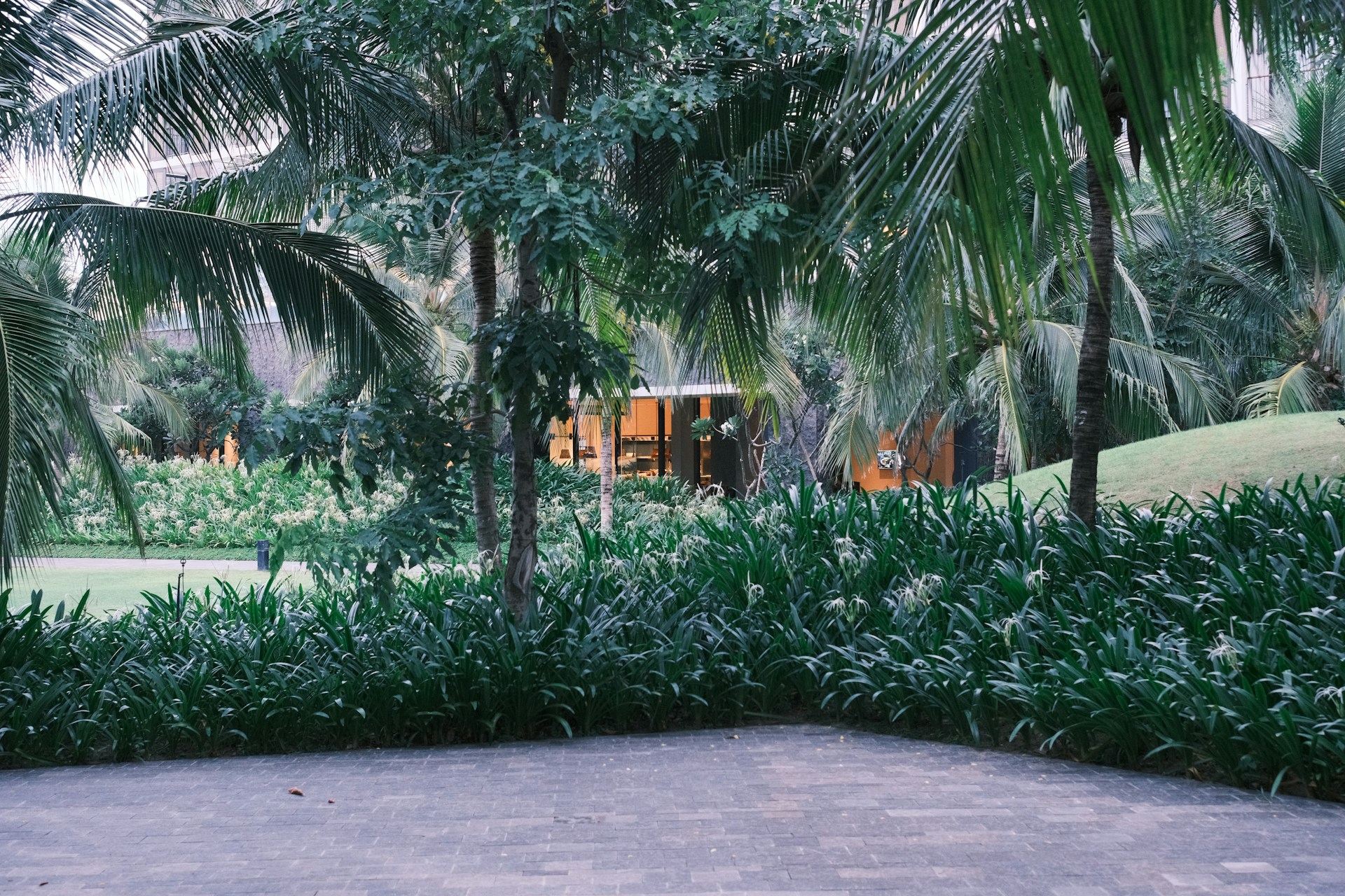 Modern house nestled among lush tropical foliage.