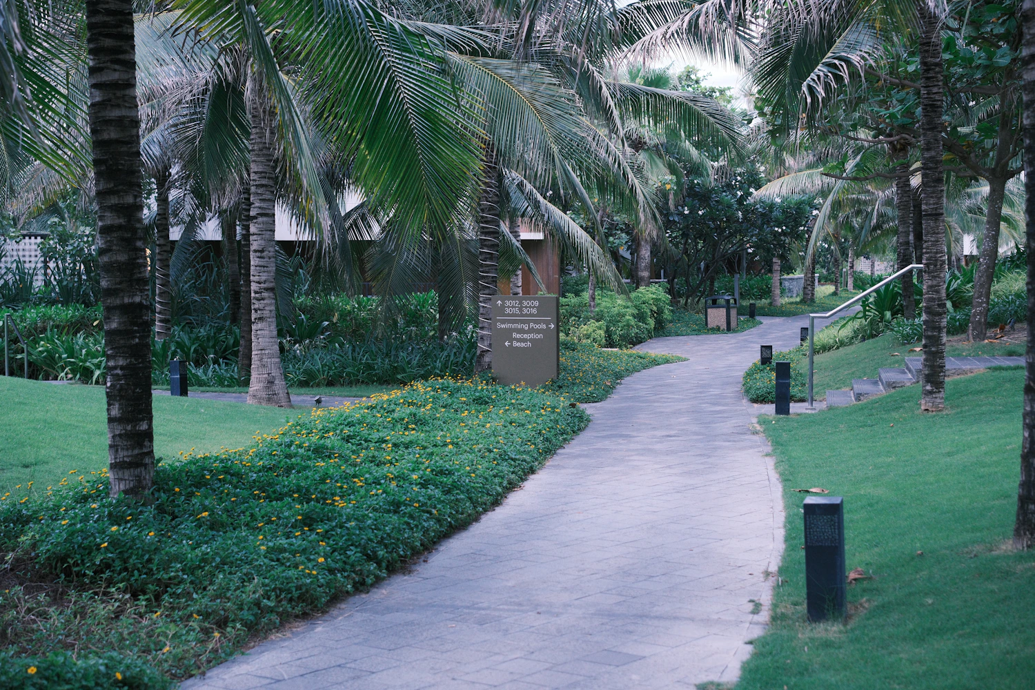 A tranquil paved path through a tropical garden
