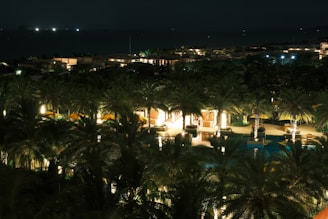 Palm trees and illuminated resort buildings at night