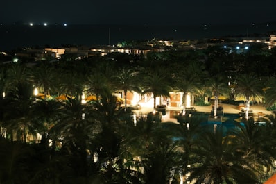 Palm trees and illuminated resort buildings at night