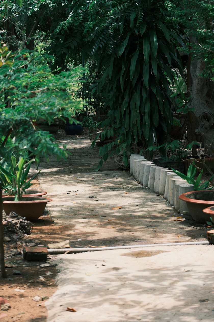 Concrete walkway through landscaped greenery