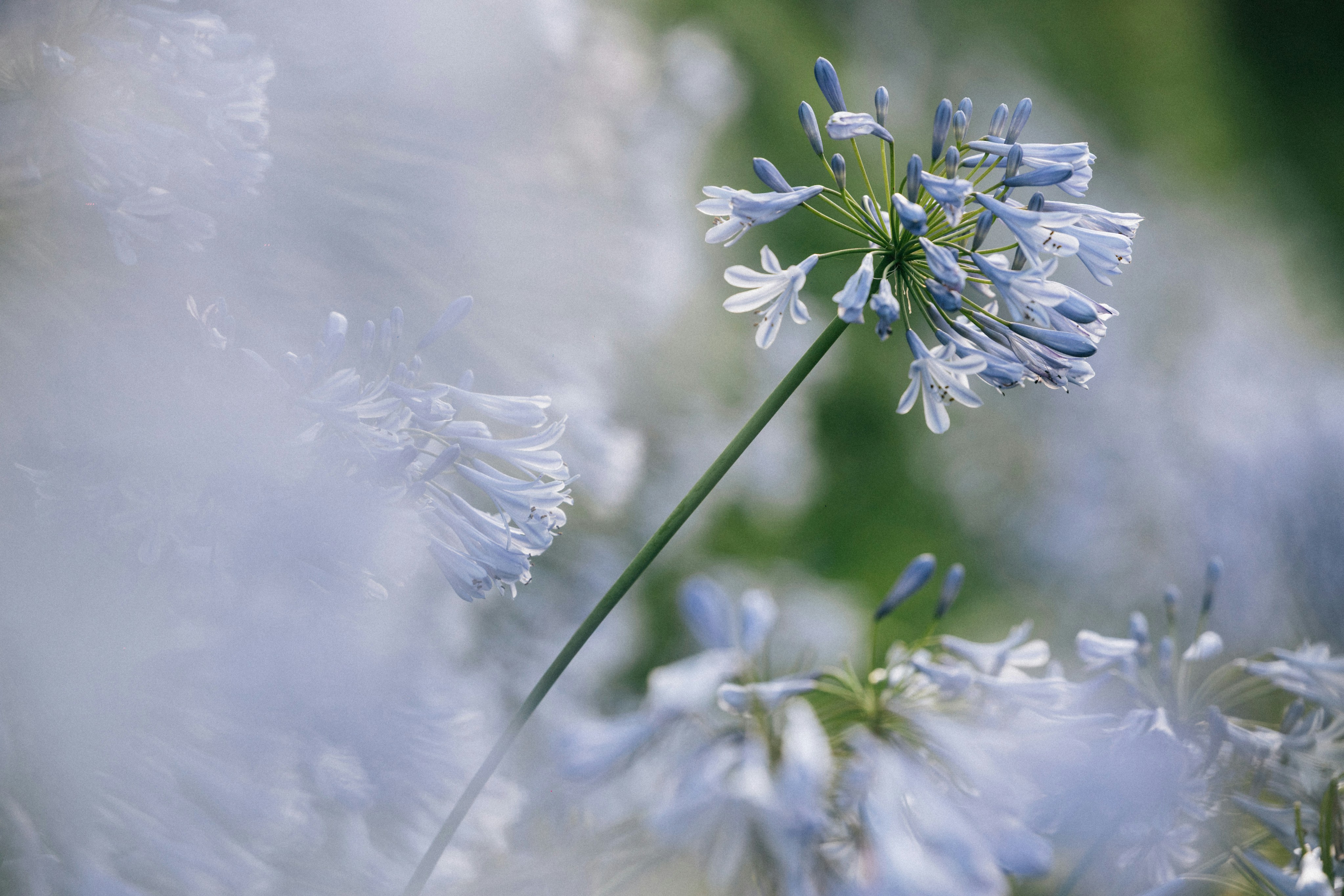 Photo by tsuyoshikozu