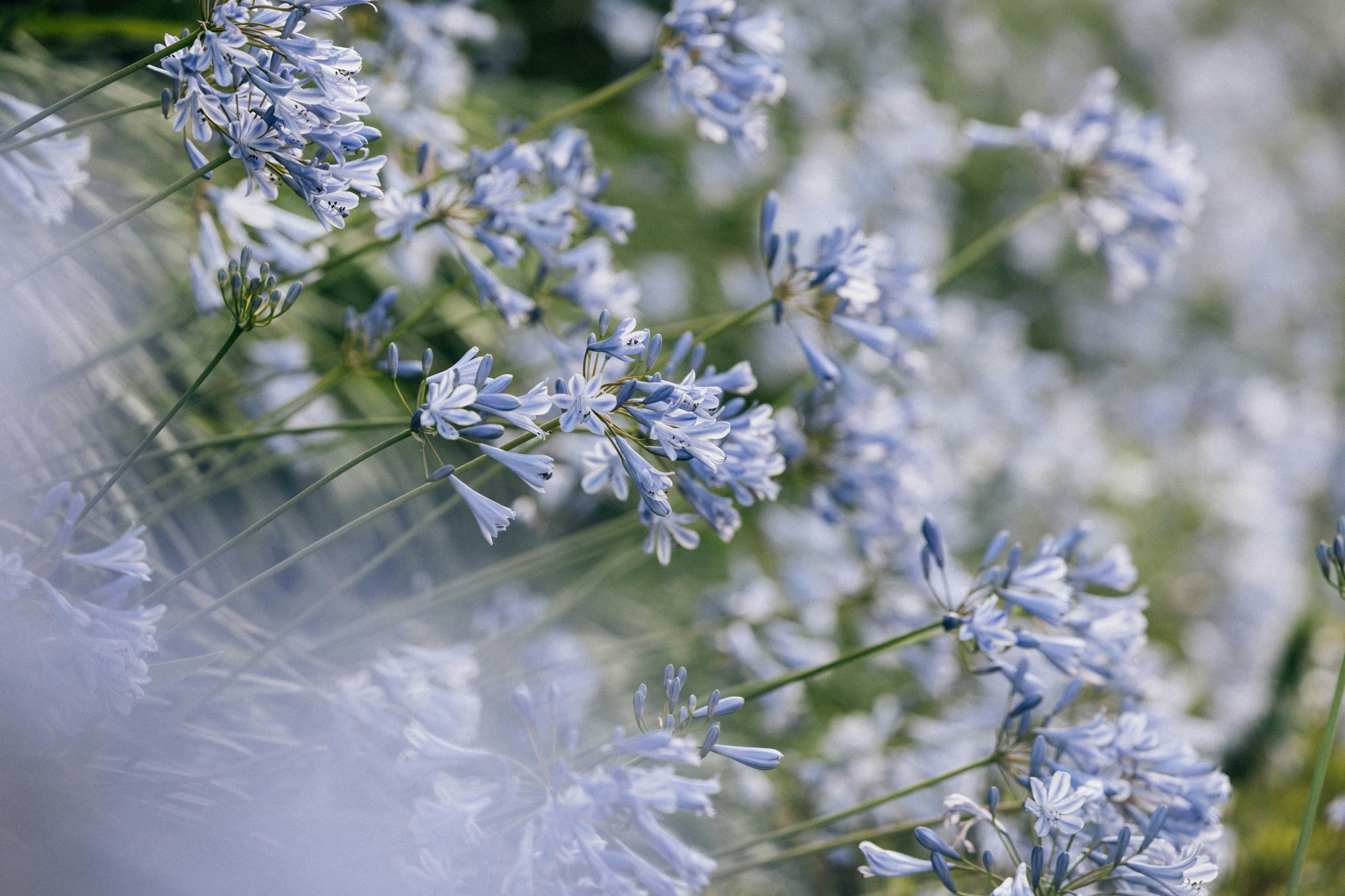 Photo by tsuyoshikozu