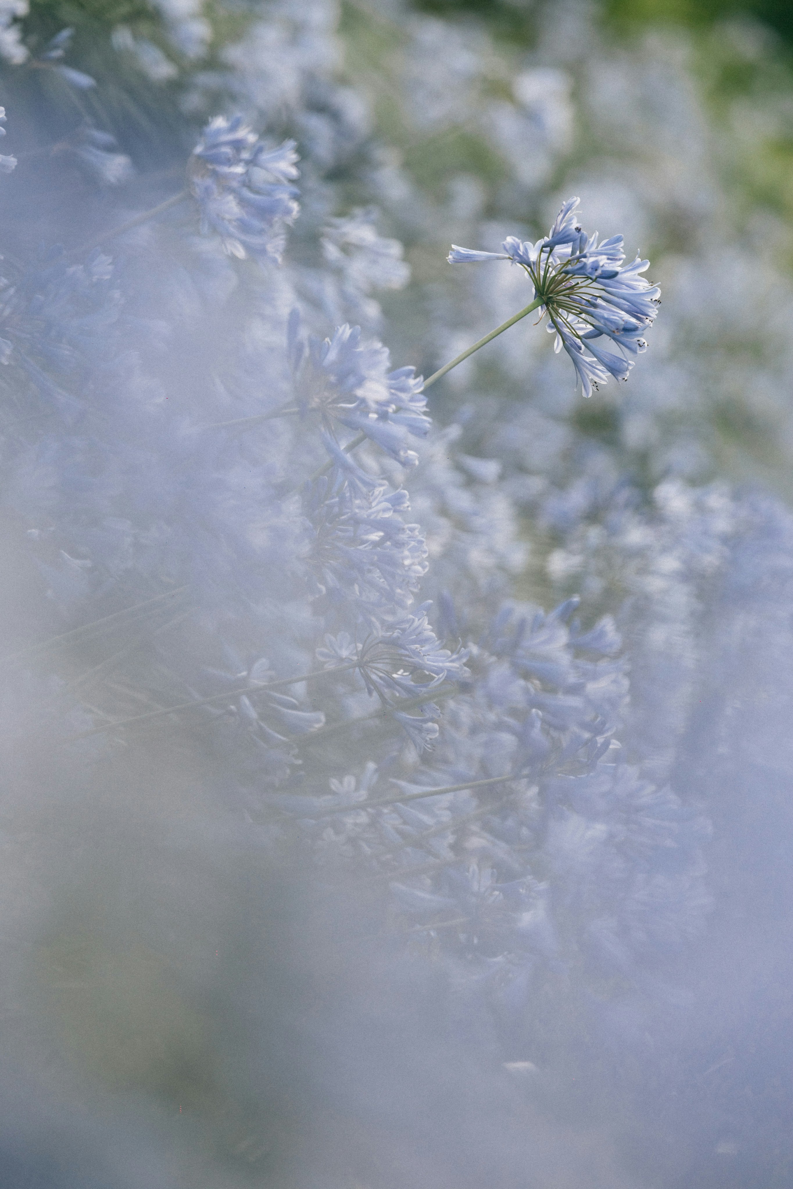 Photo by tsuyoshikozu