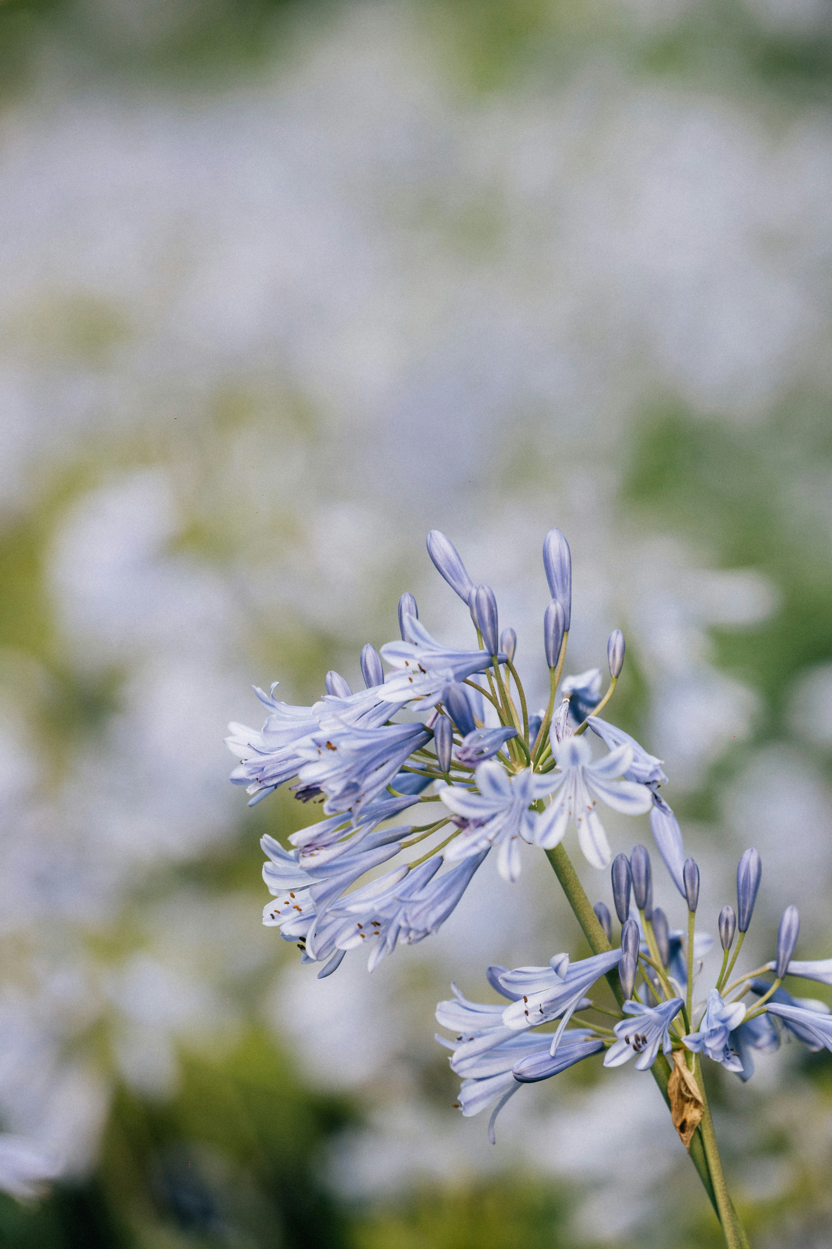 Photo by tsuyoshikozu