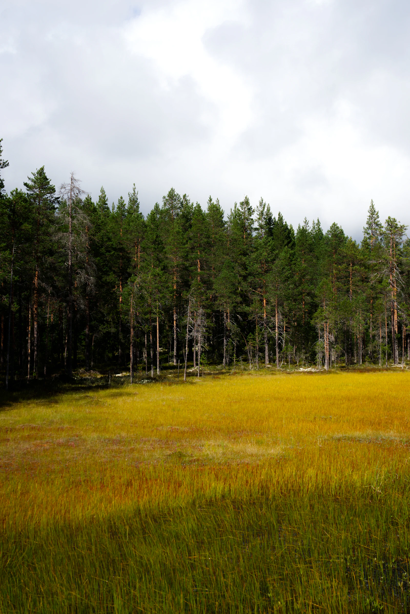 Trail Networks Worth Visiting