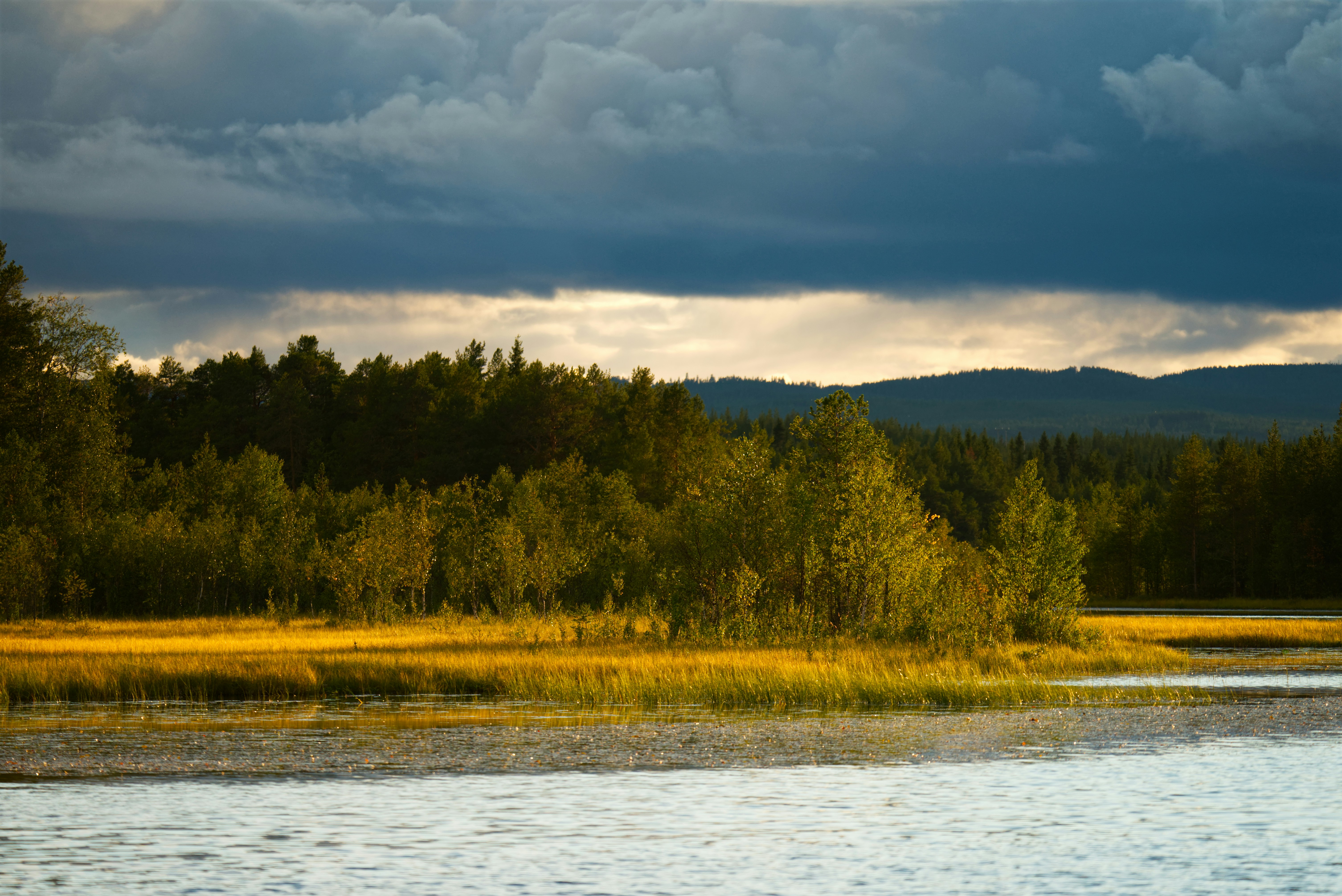 Golden meadow beside a calm lake under stormy skies