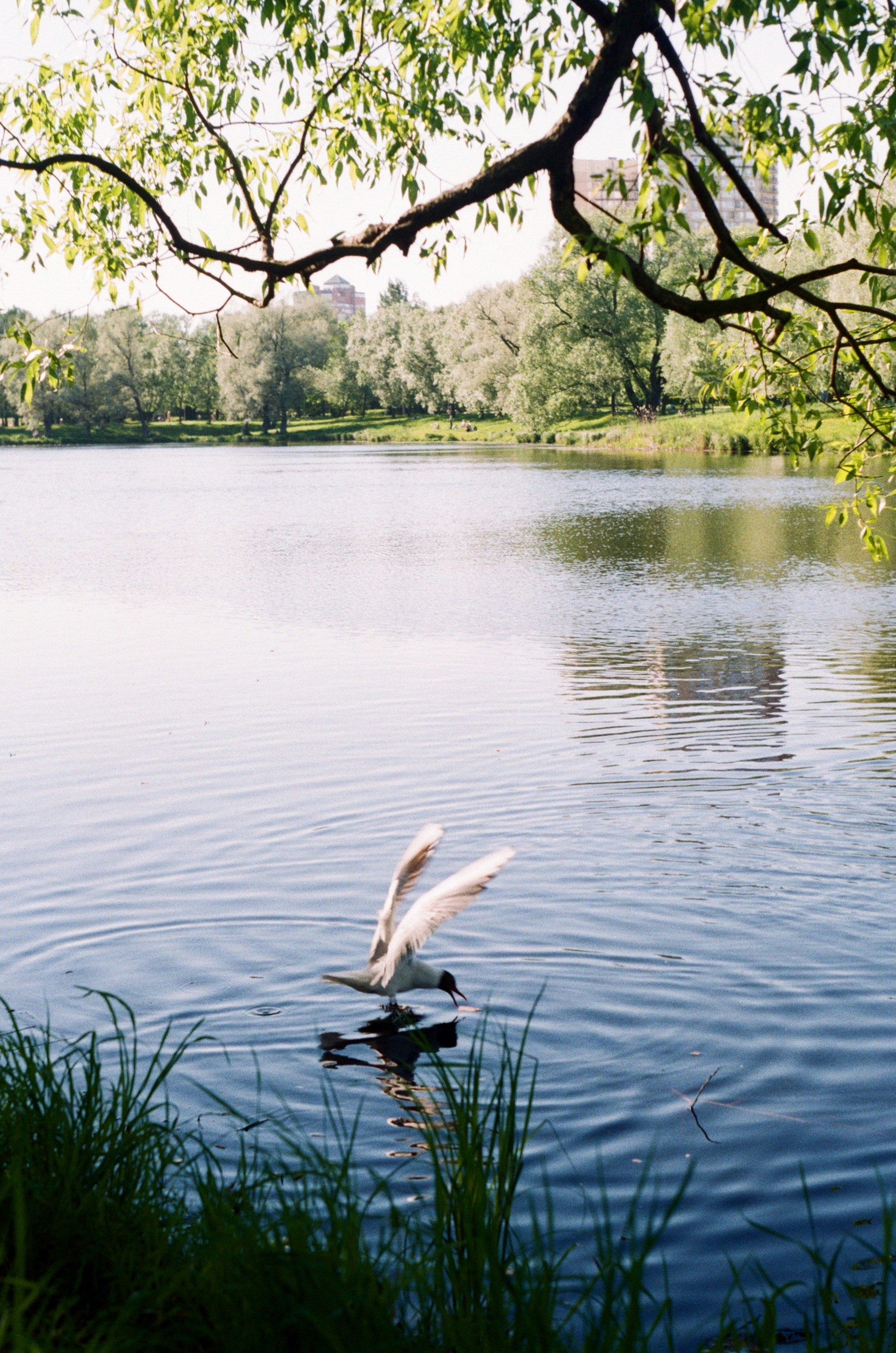 Photo by _nadinchik_