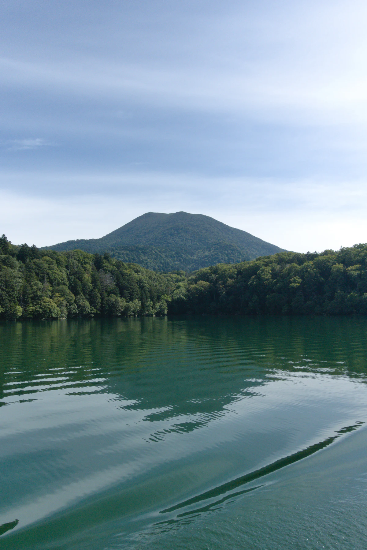 阿寒湖と森の風景