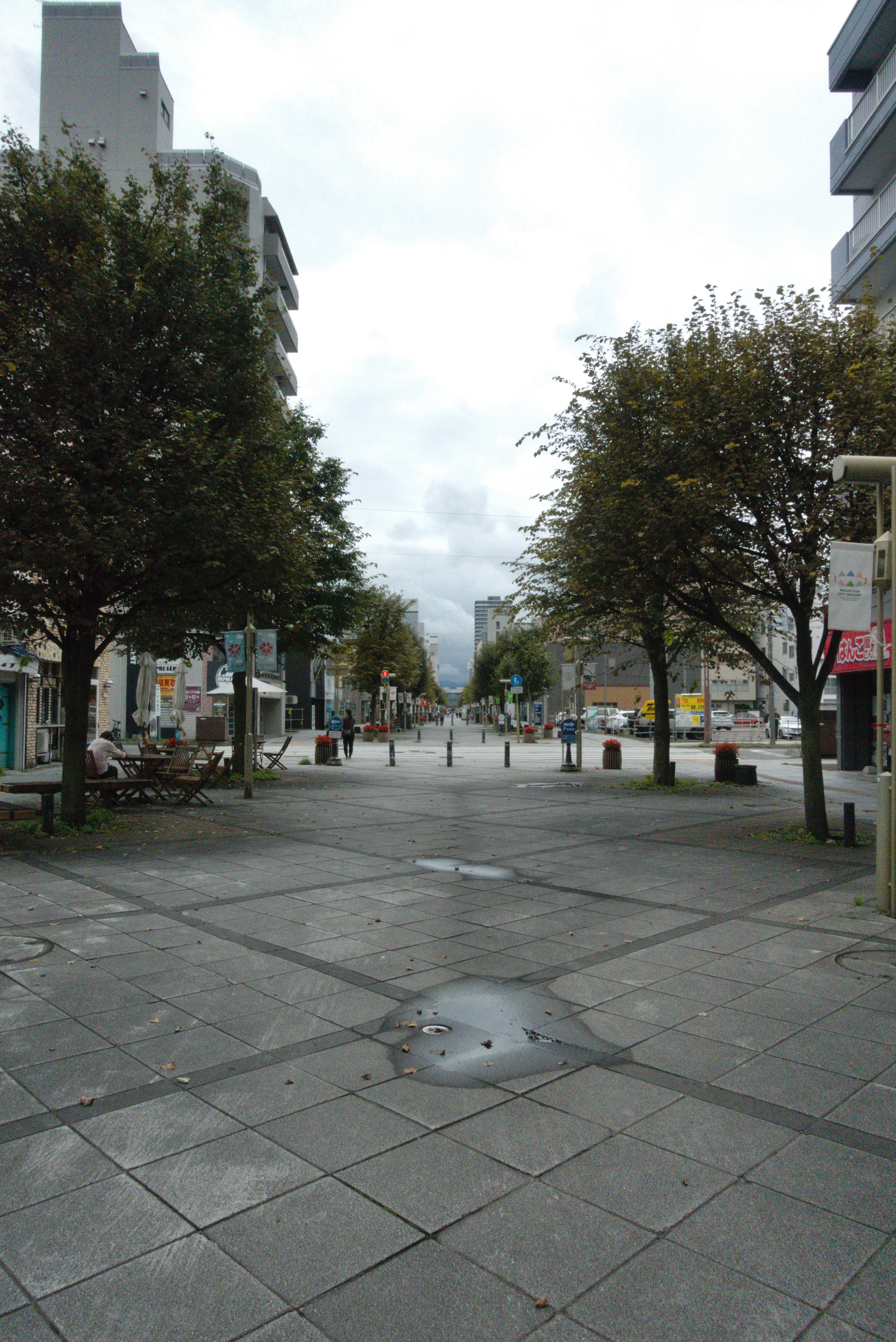 A wide, empty street lined with trees and buildings.