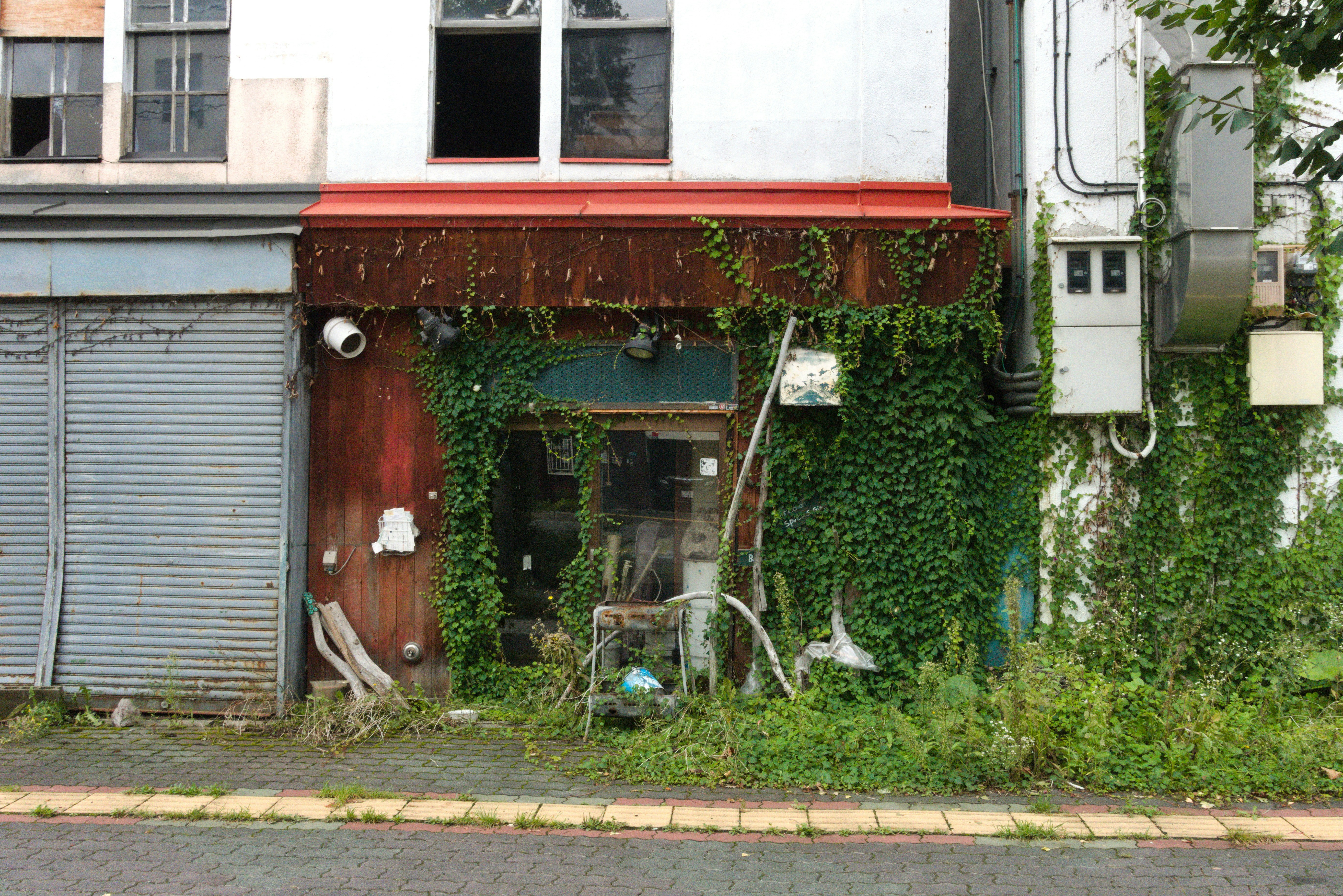 Overgrown abandoned storefront with weathered facade