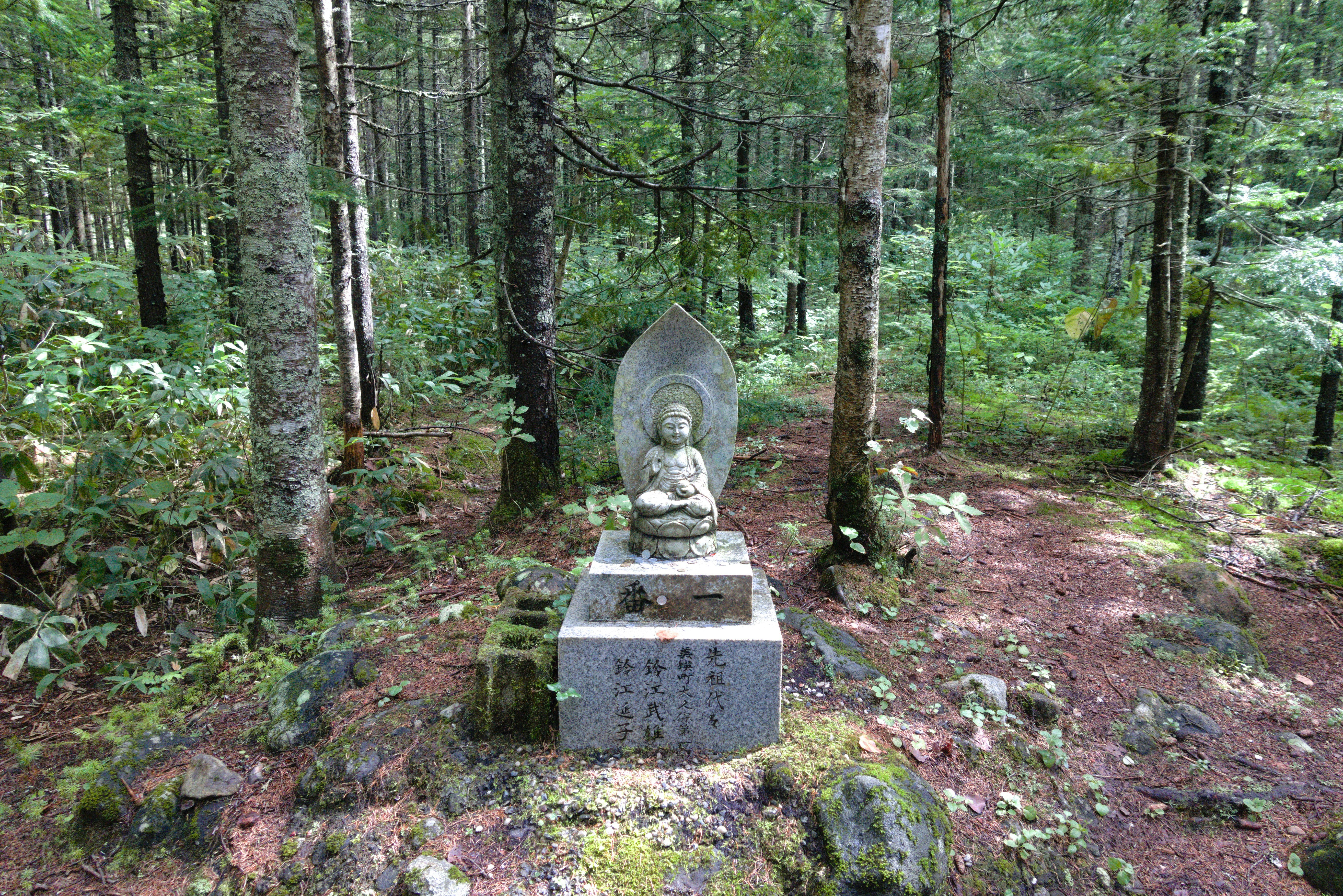 Buddha statue in a serene forest setting.