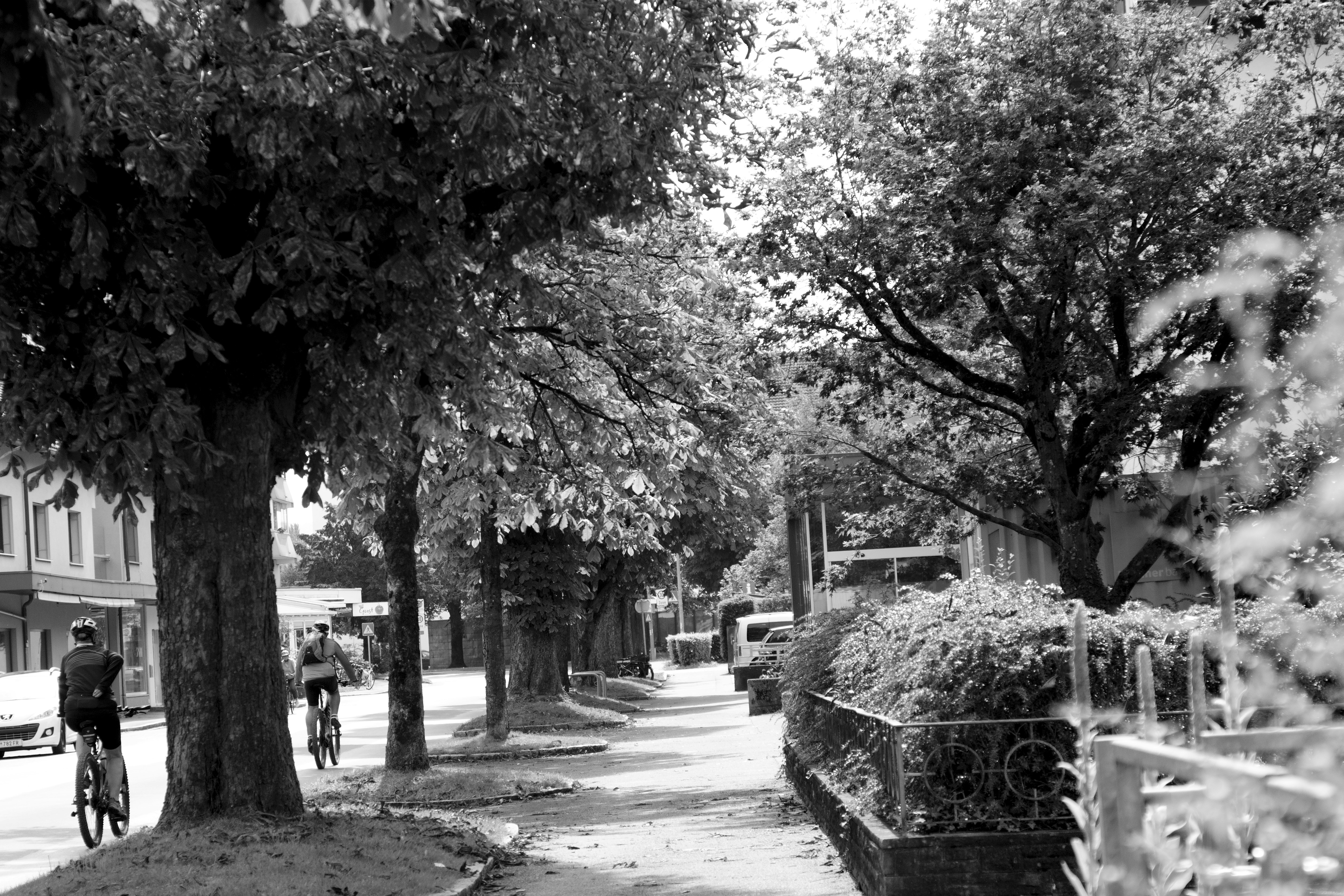 Photo by mario_fotografiert