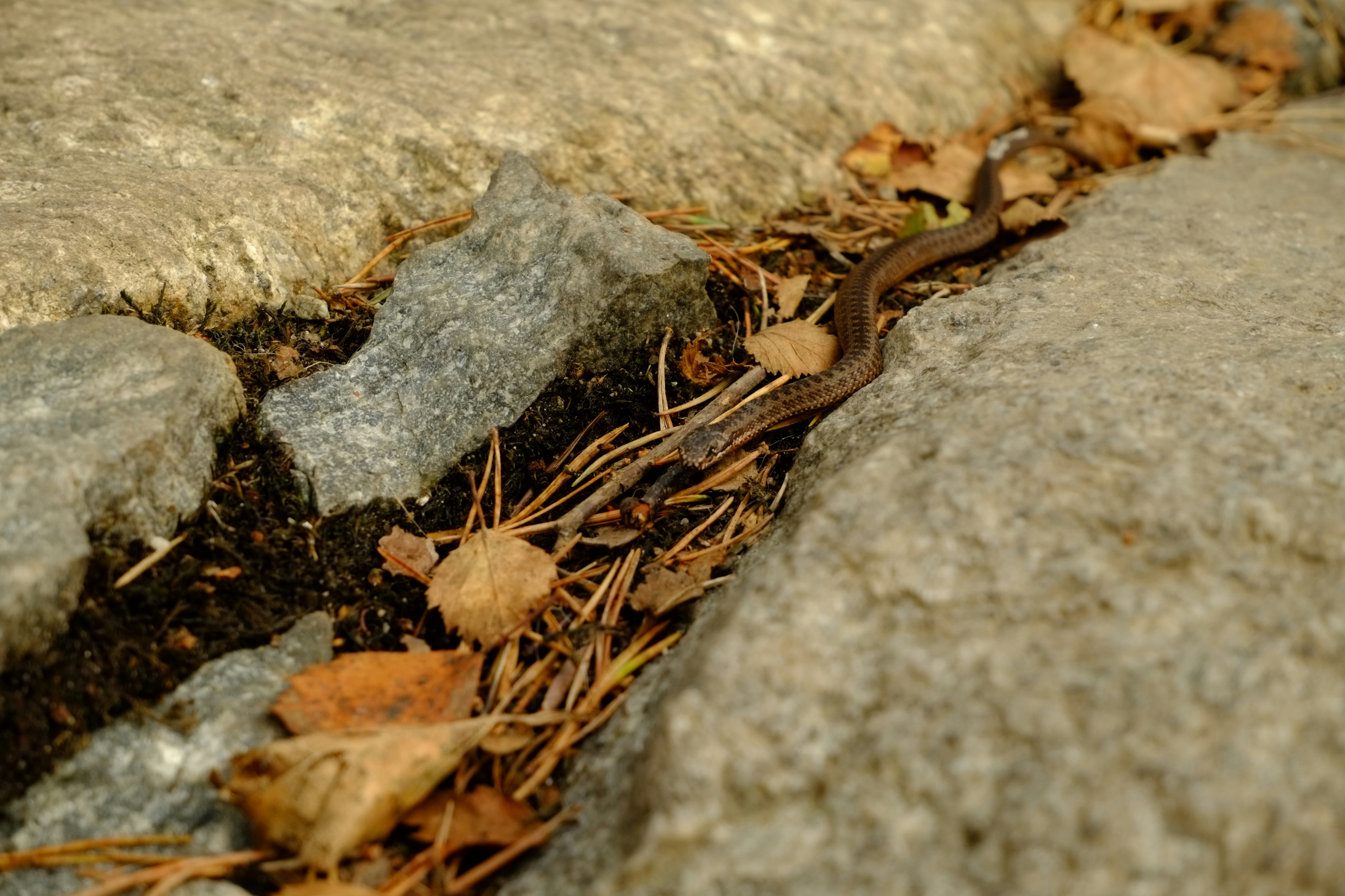 Photo by bernhardbar