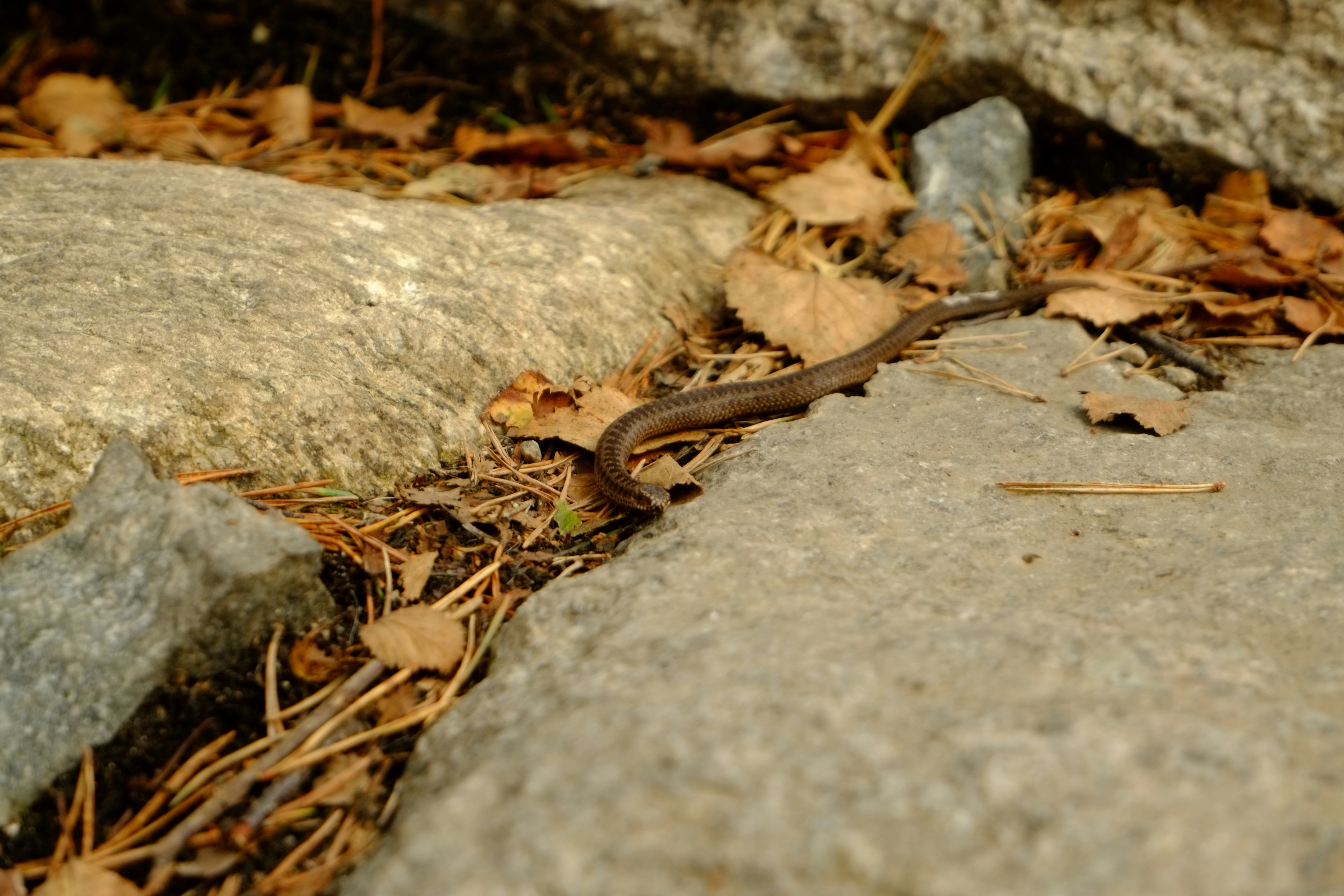 Photo by bernhardbar