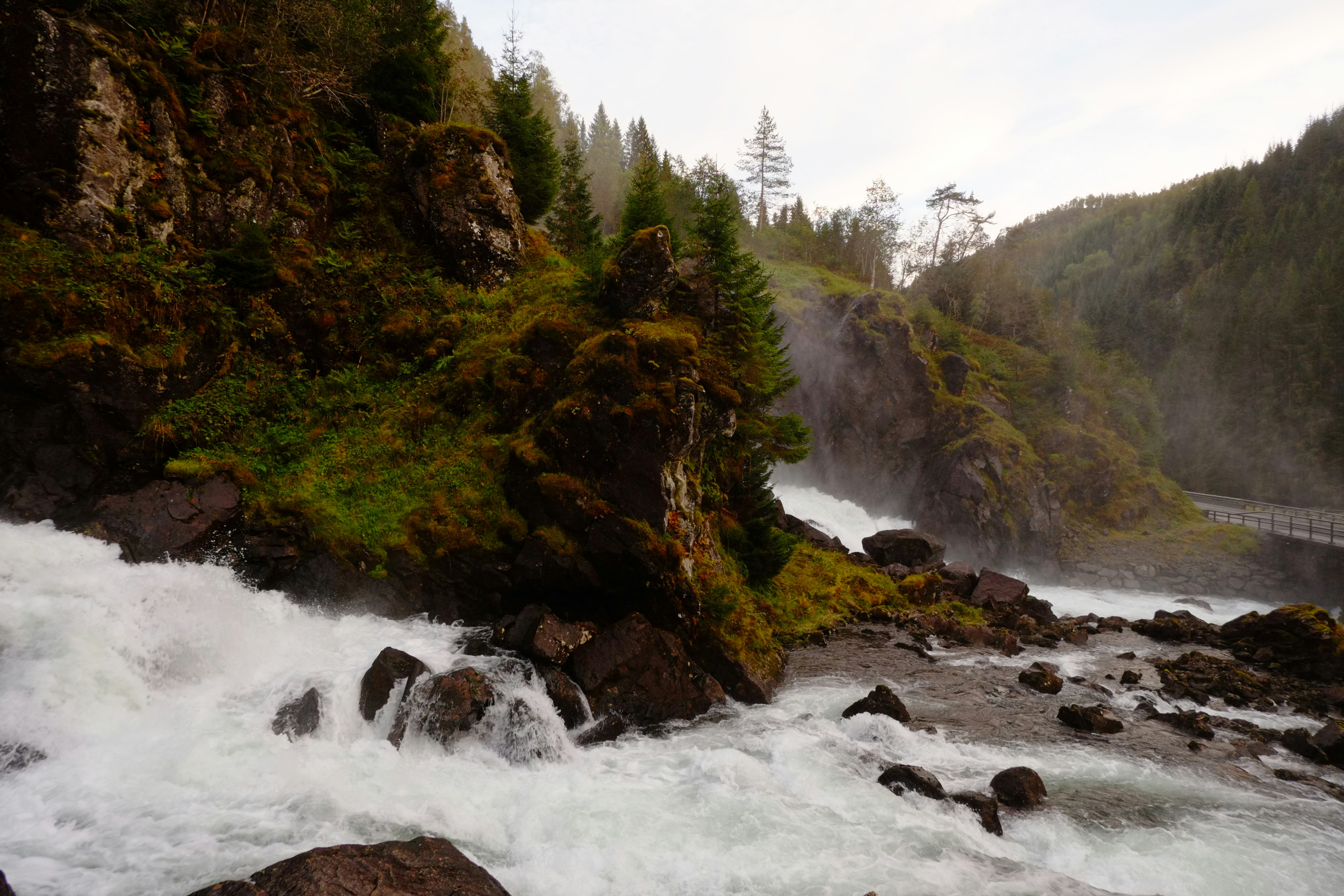 Photo by bernhardbar