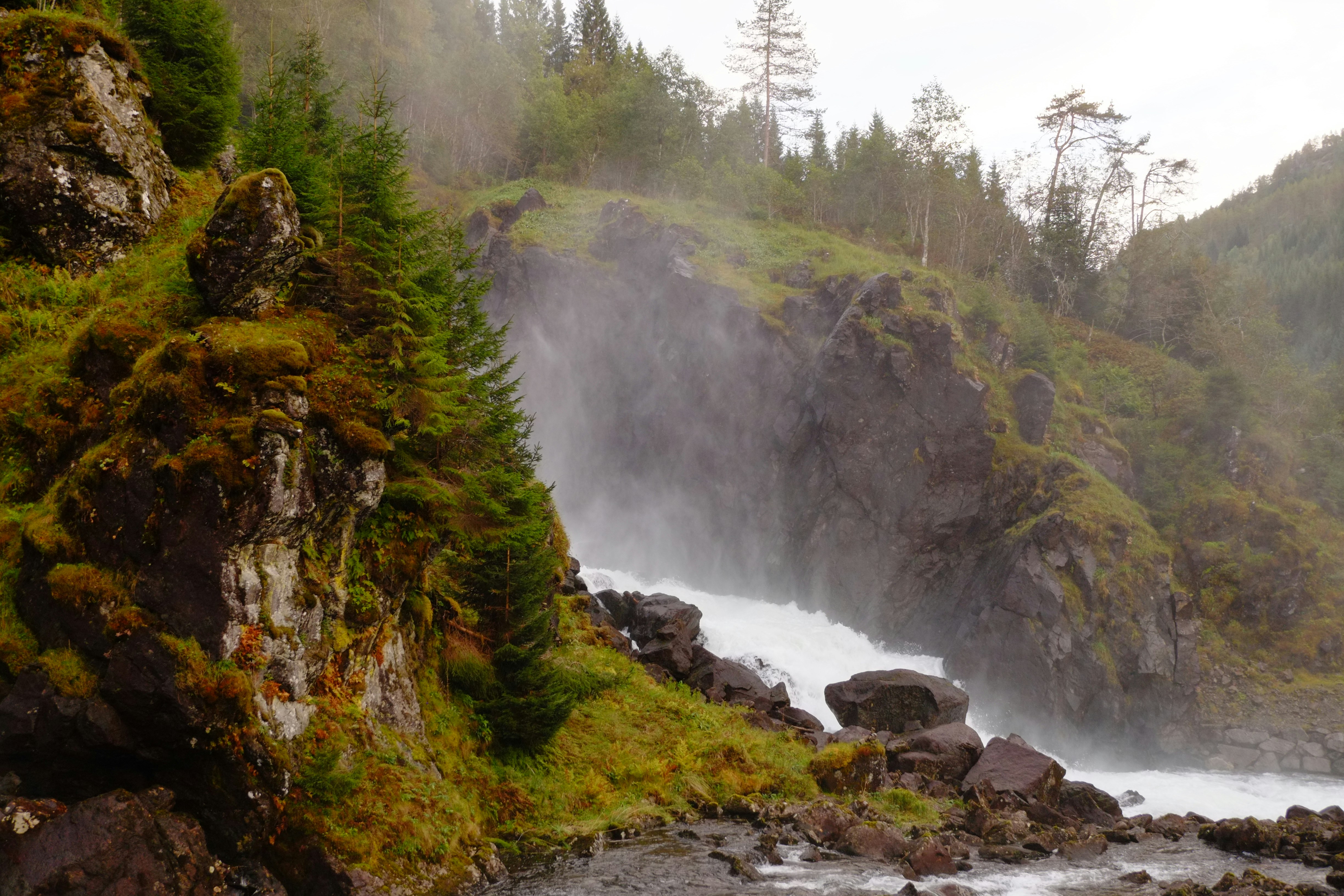 Photo by bernhardbar