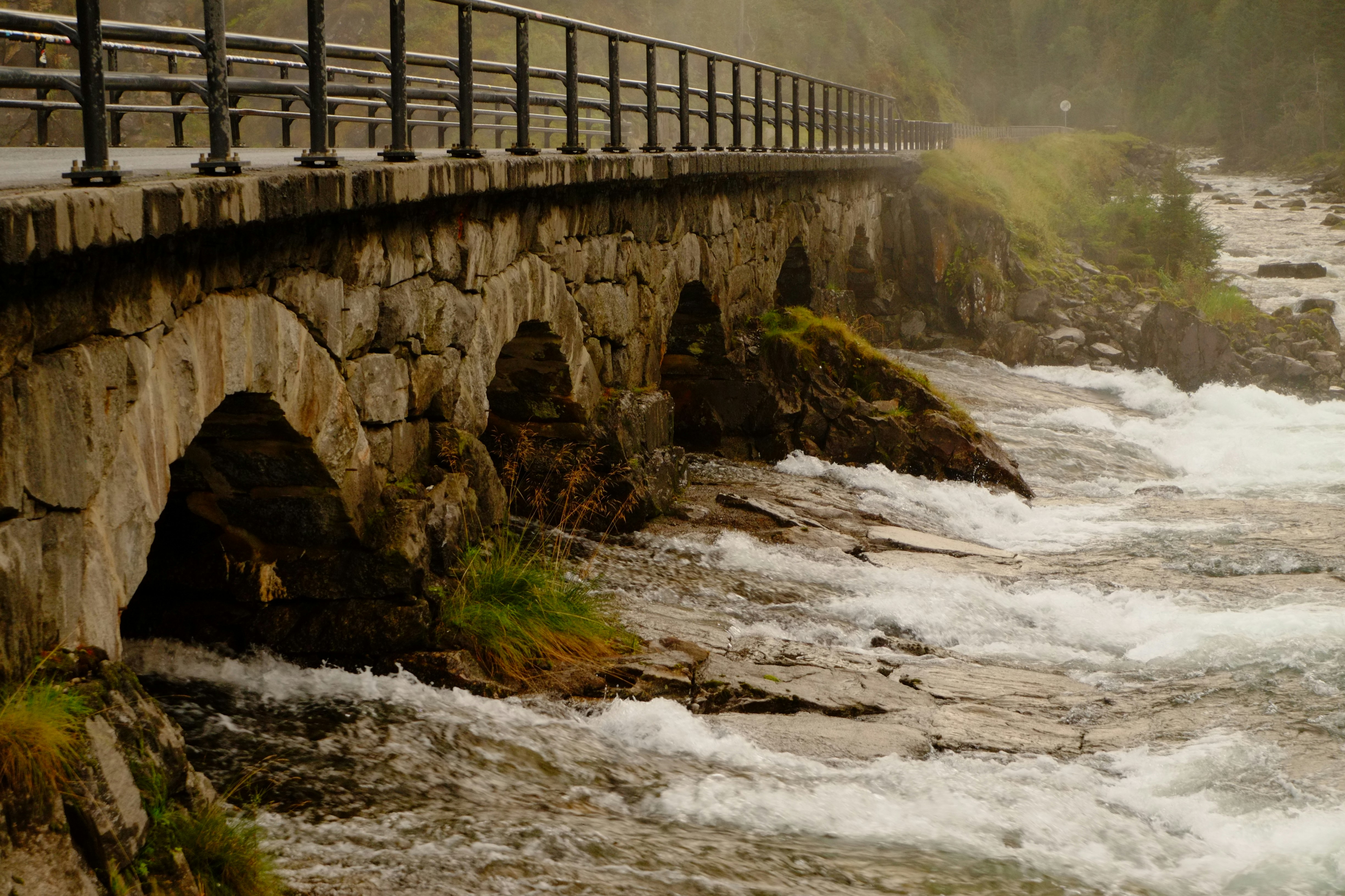 Photo by bernhardbar