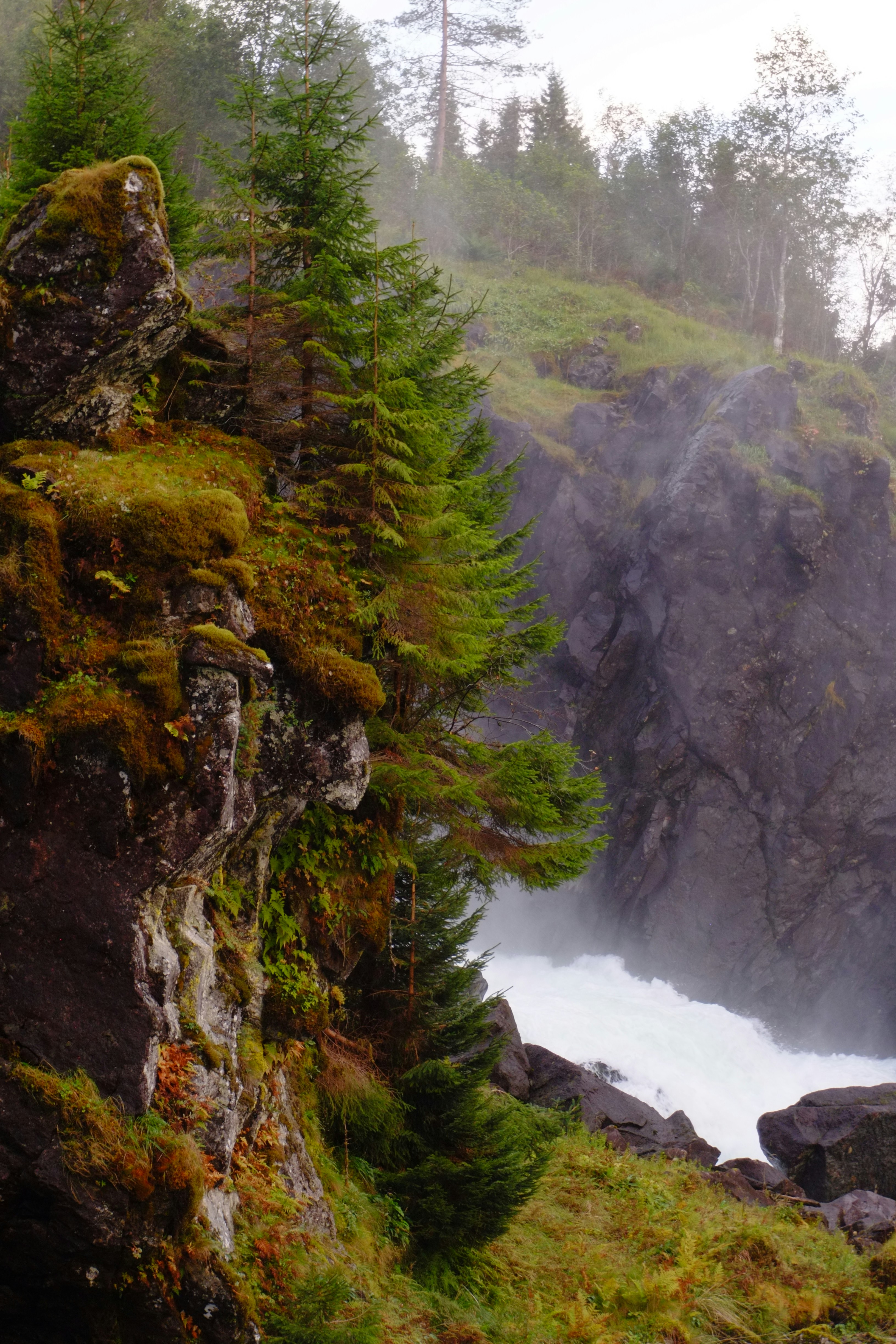 Photo by bernhardbar