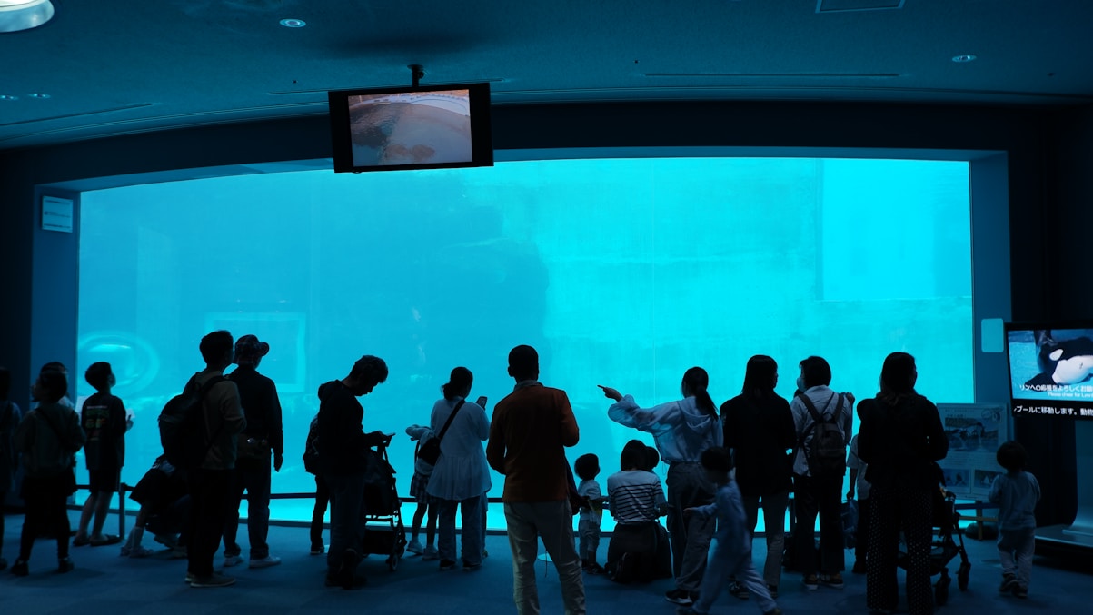 People silhouetted against a large aquarium tank