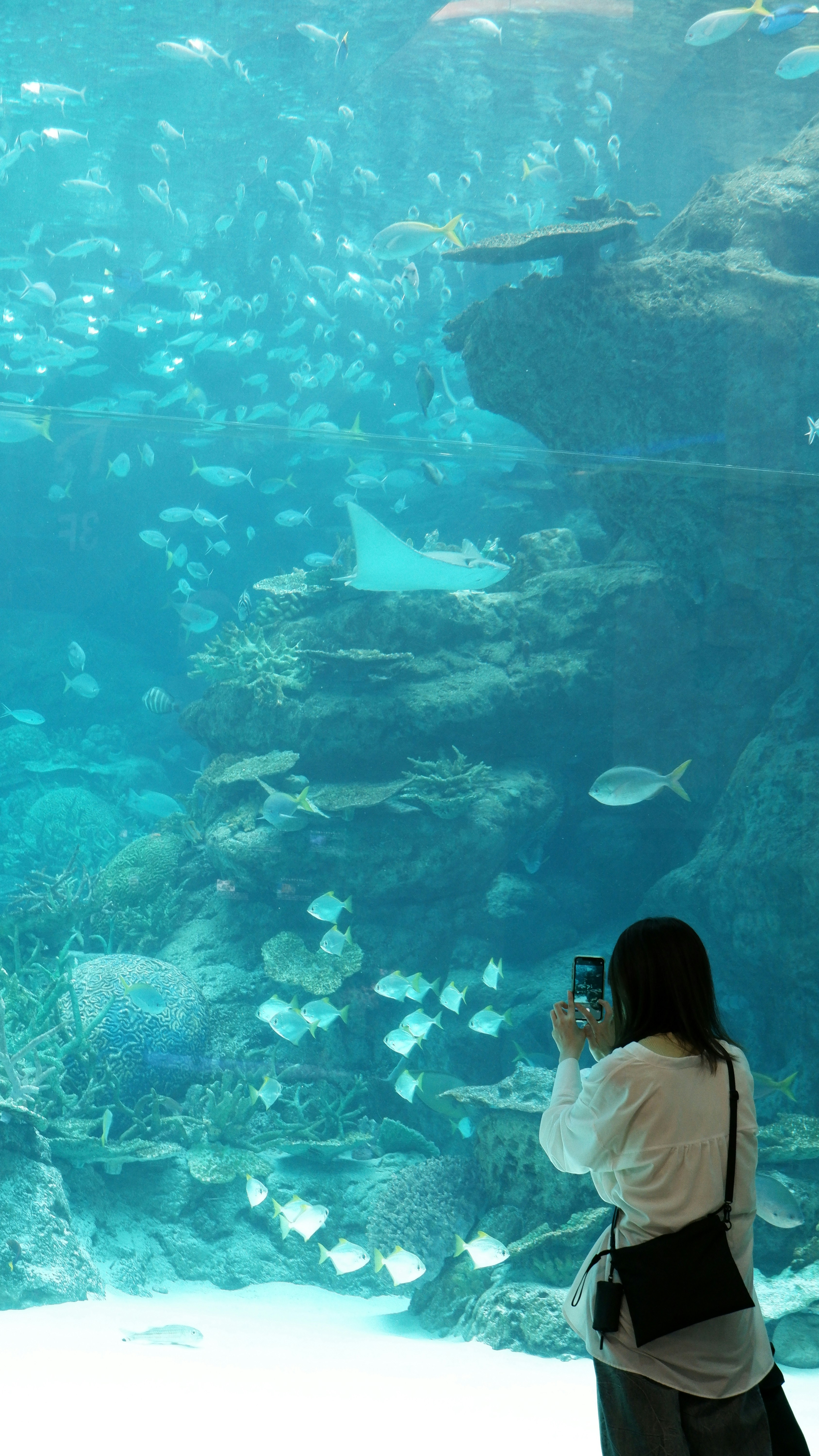 Photo by ryohariantoo