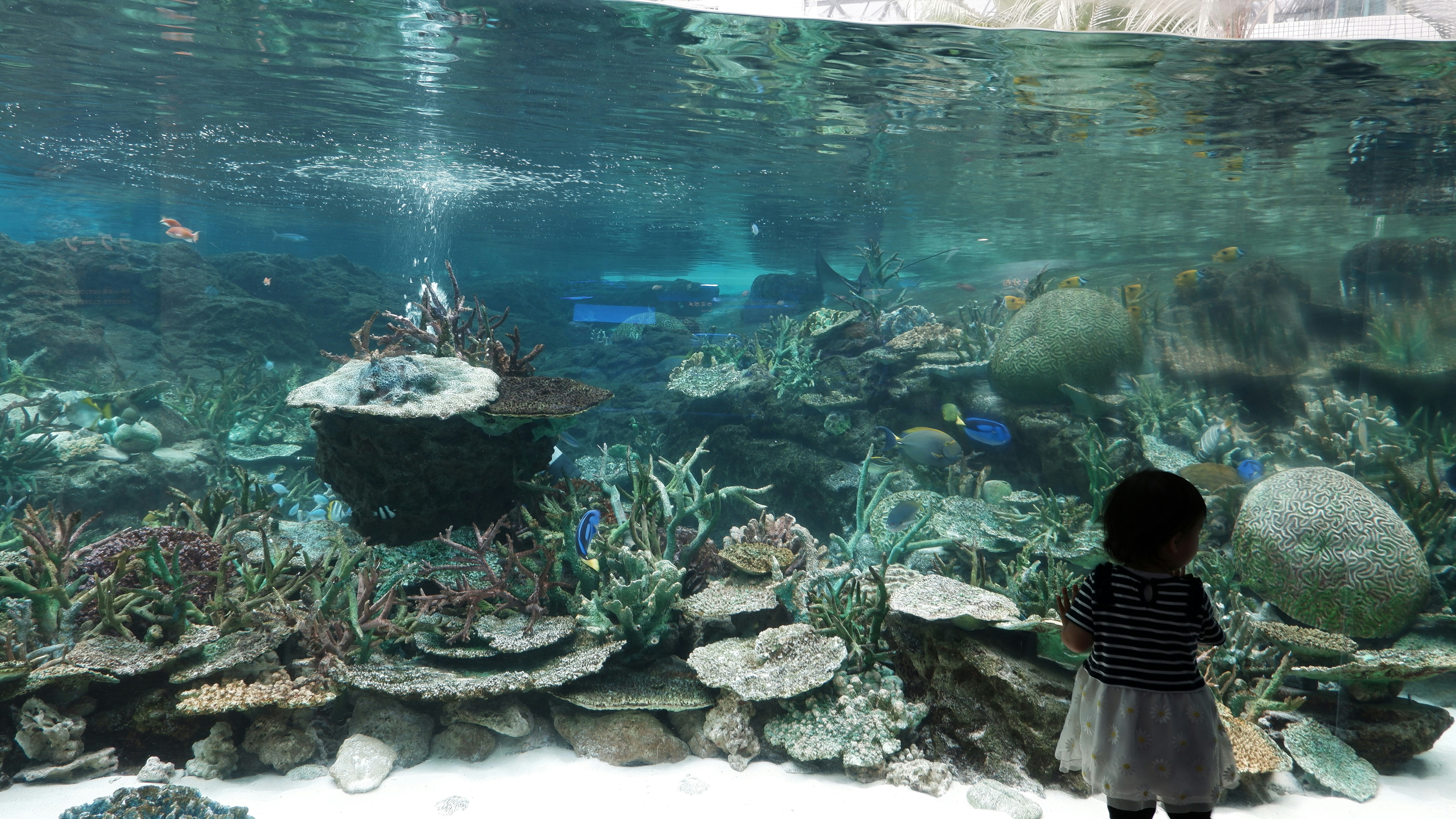 Photo by ryohariantoo