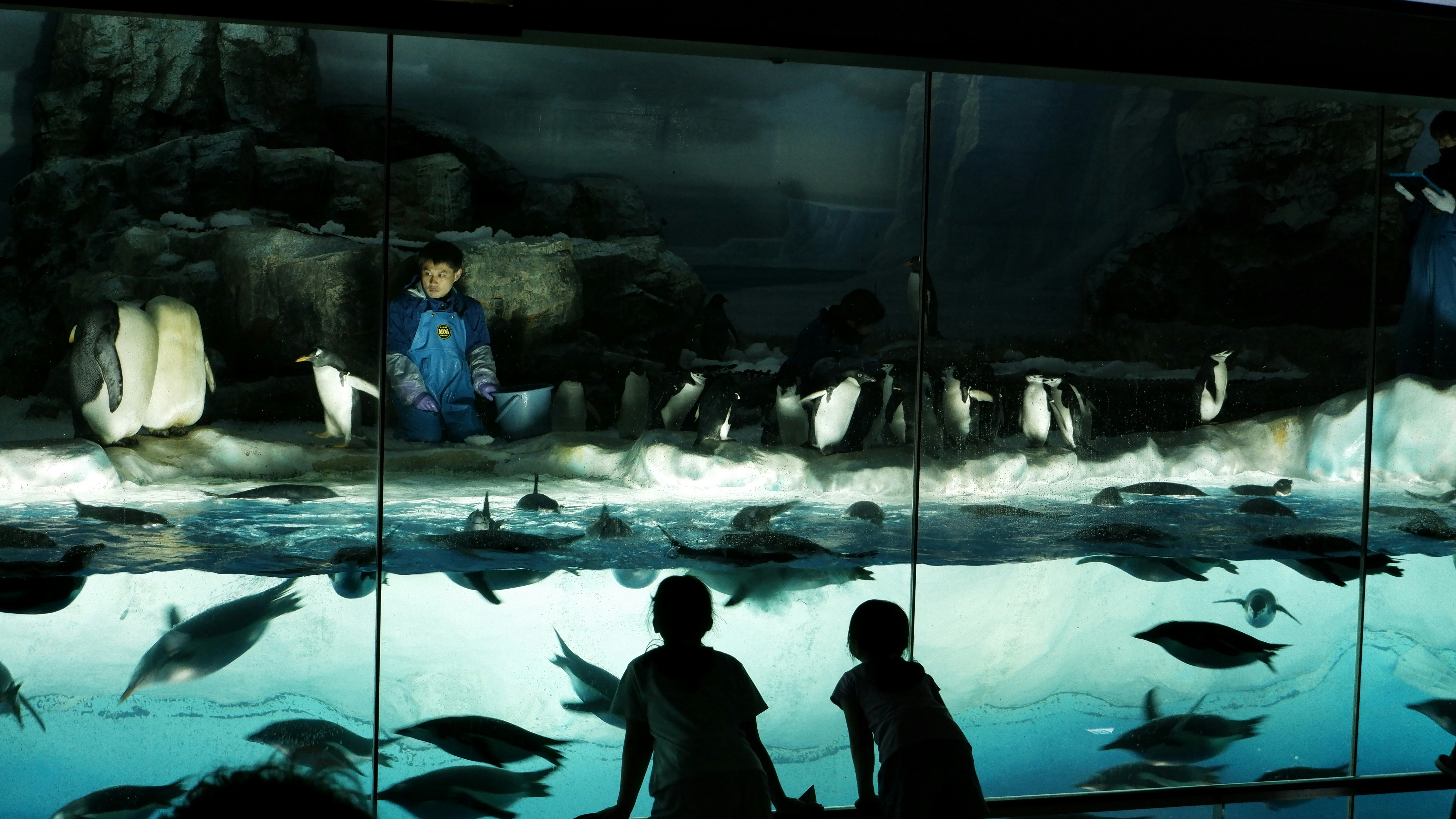 Photo by ryohariantoo