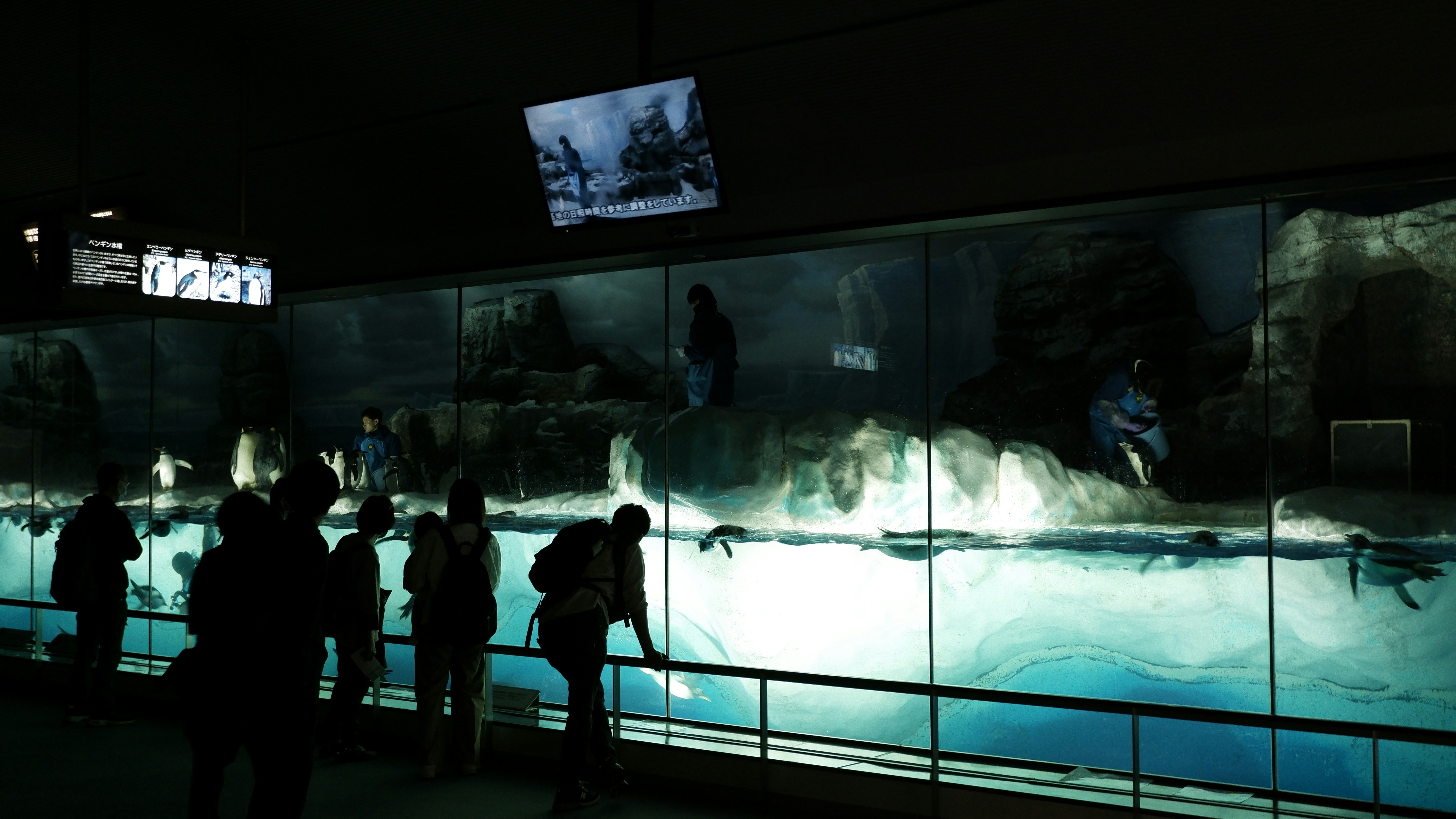 Photo by ryohariantoo