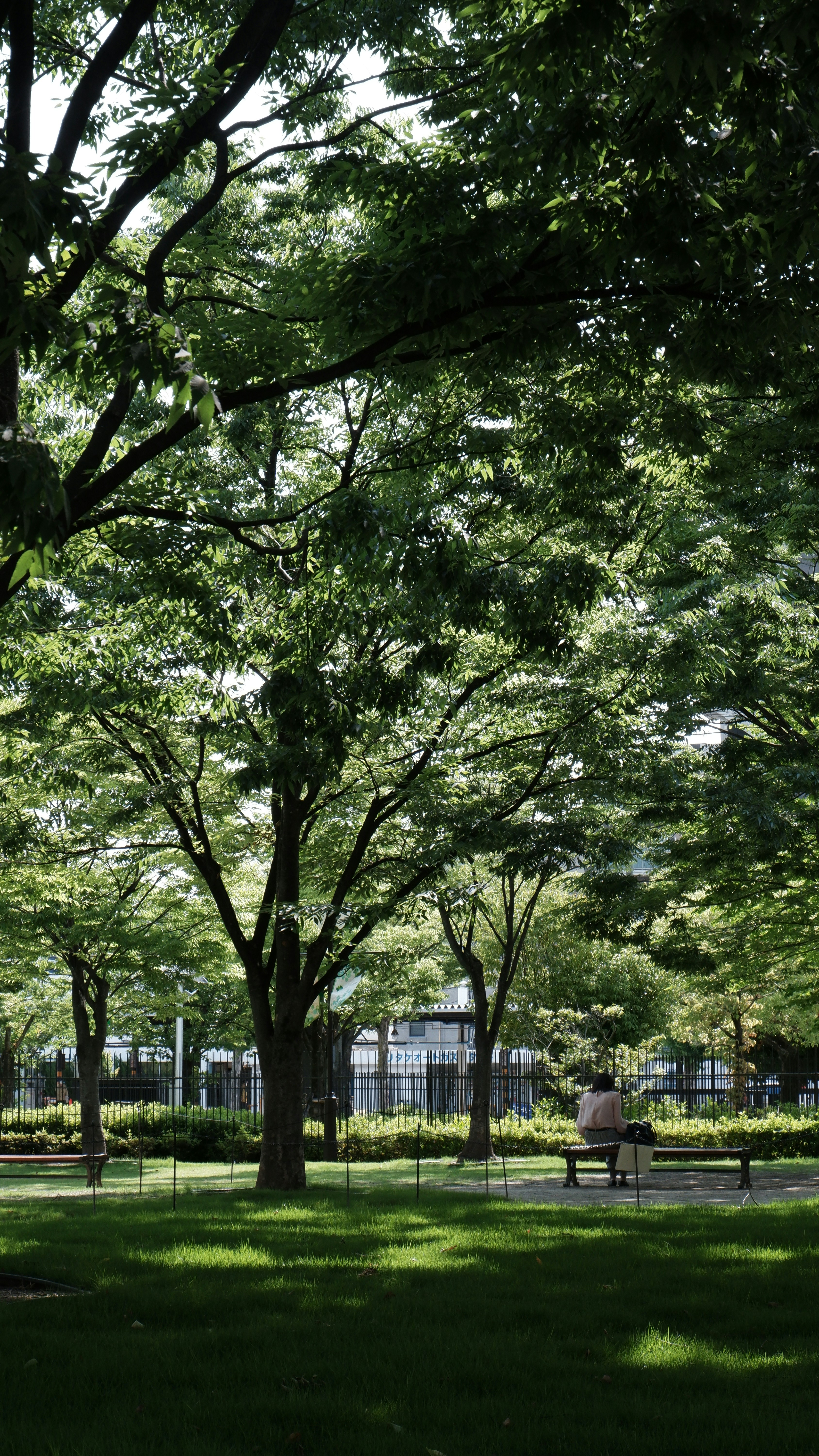 Photo by ryohariantoo