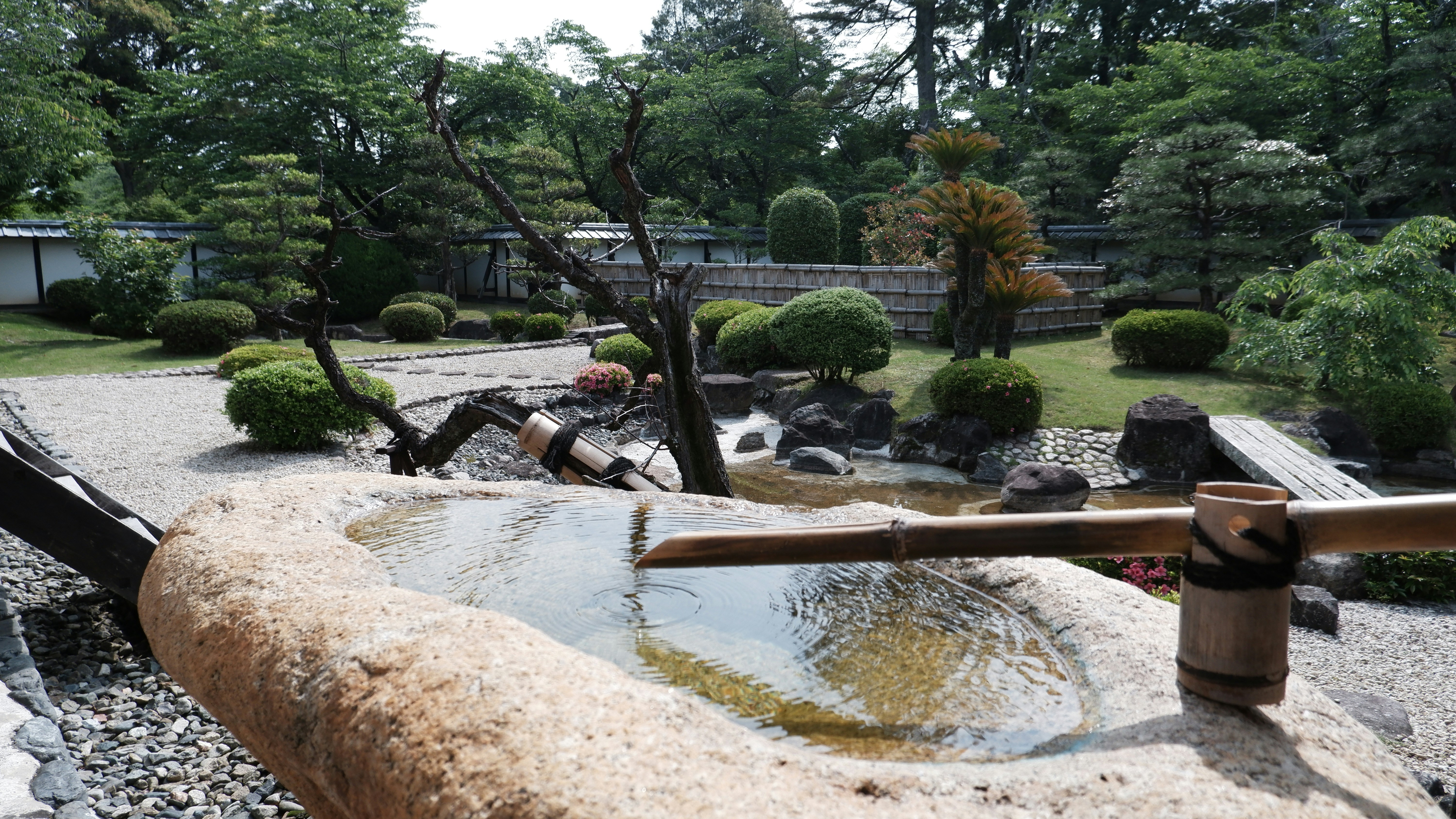 Photo by ryohariantoo