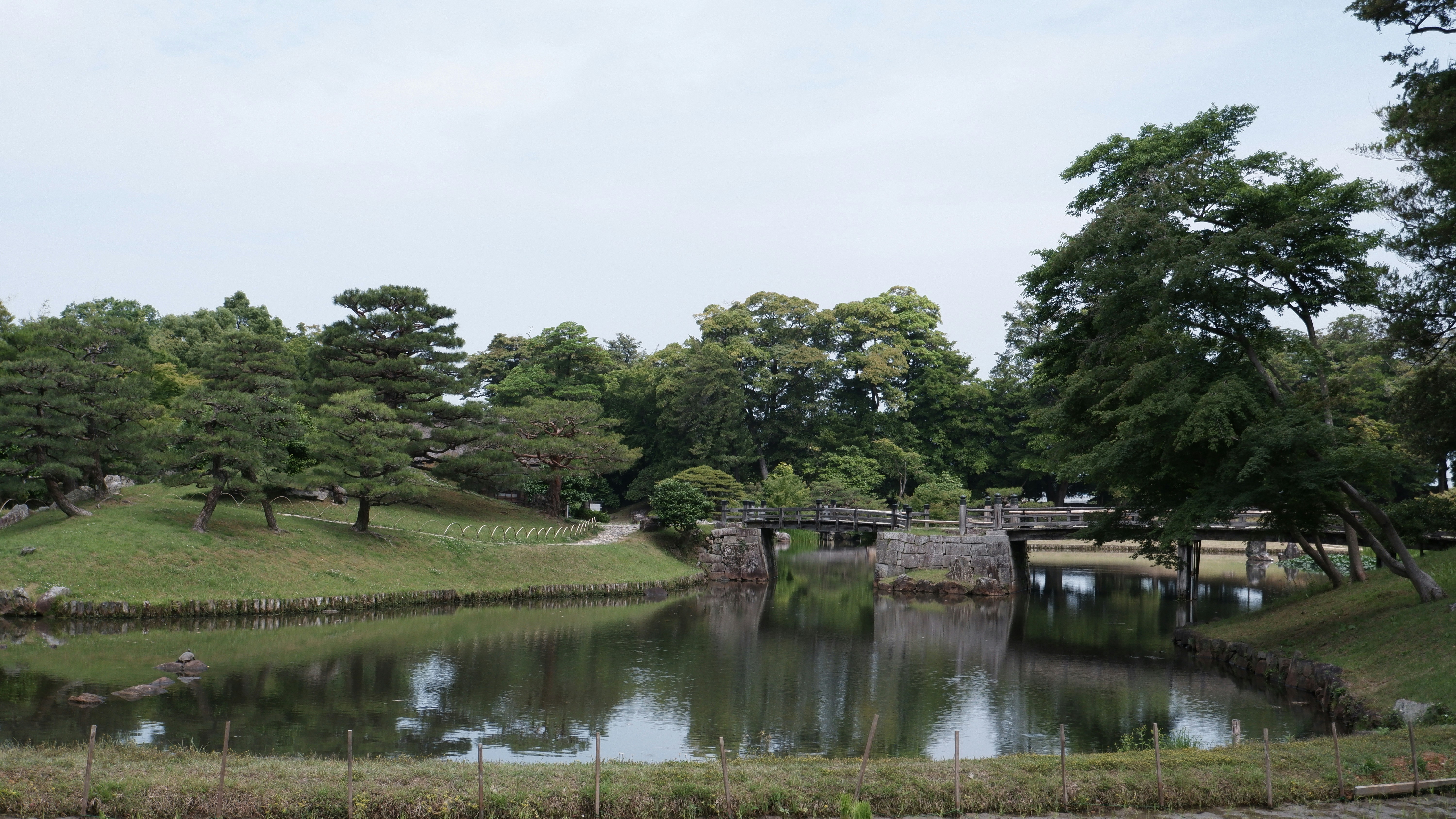 Photo by ryohariantoo