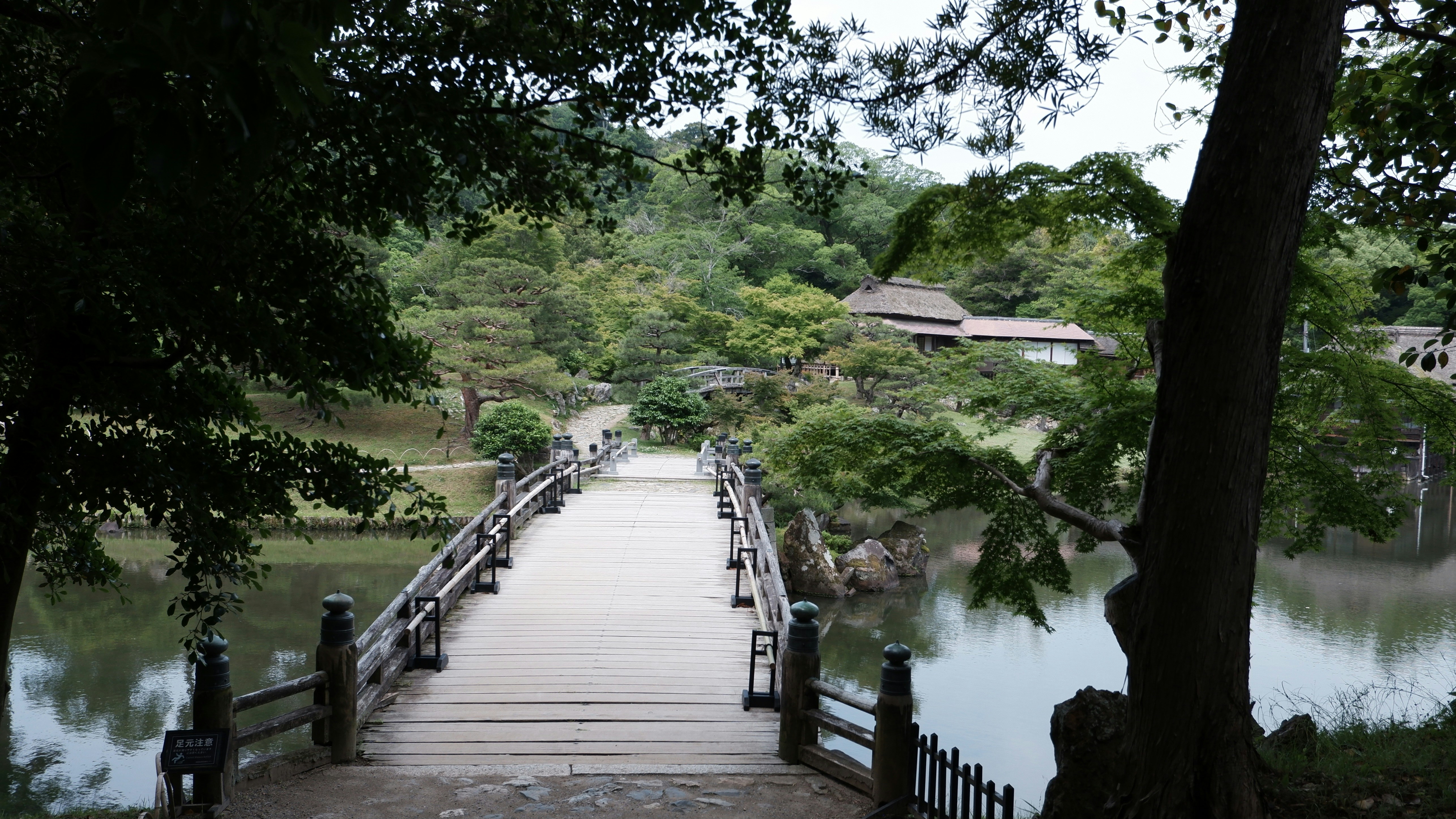 Photo by ryohariantoo