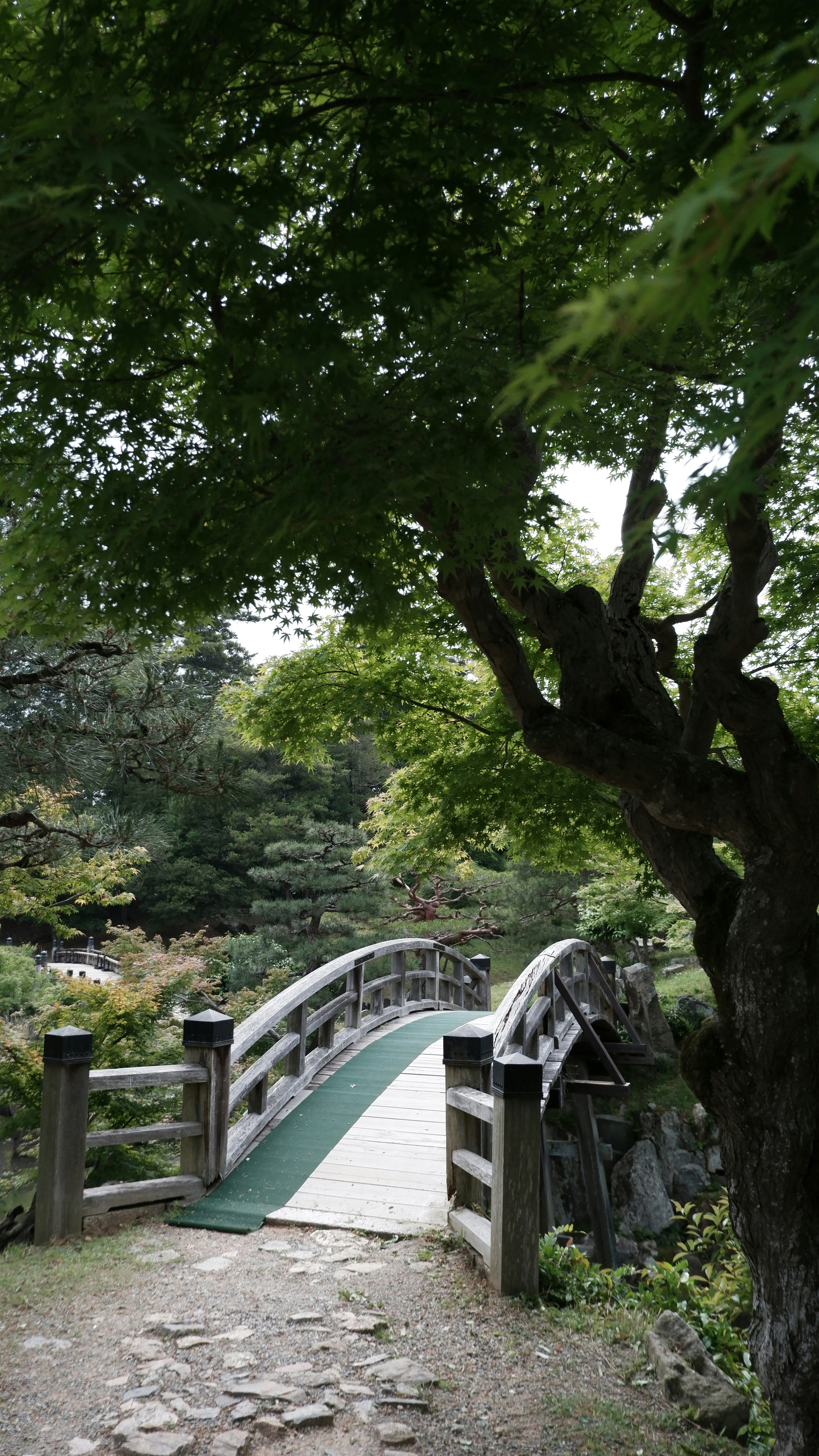 Photo by ryohariantoo