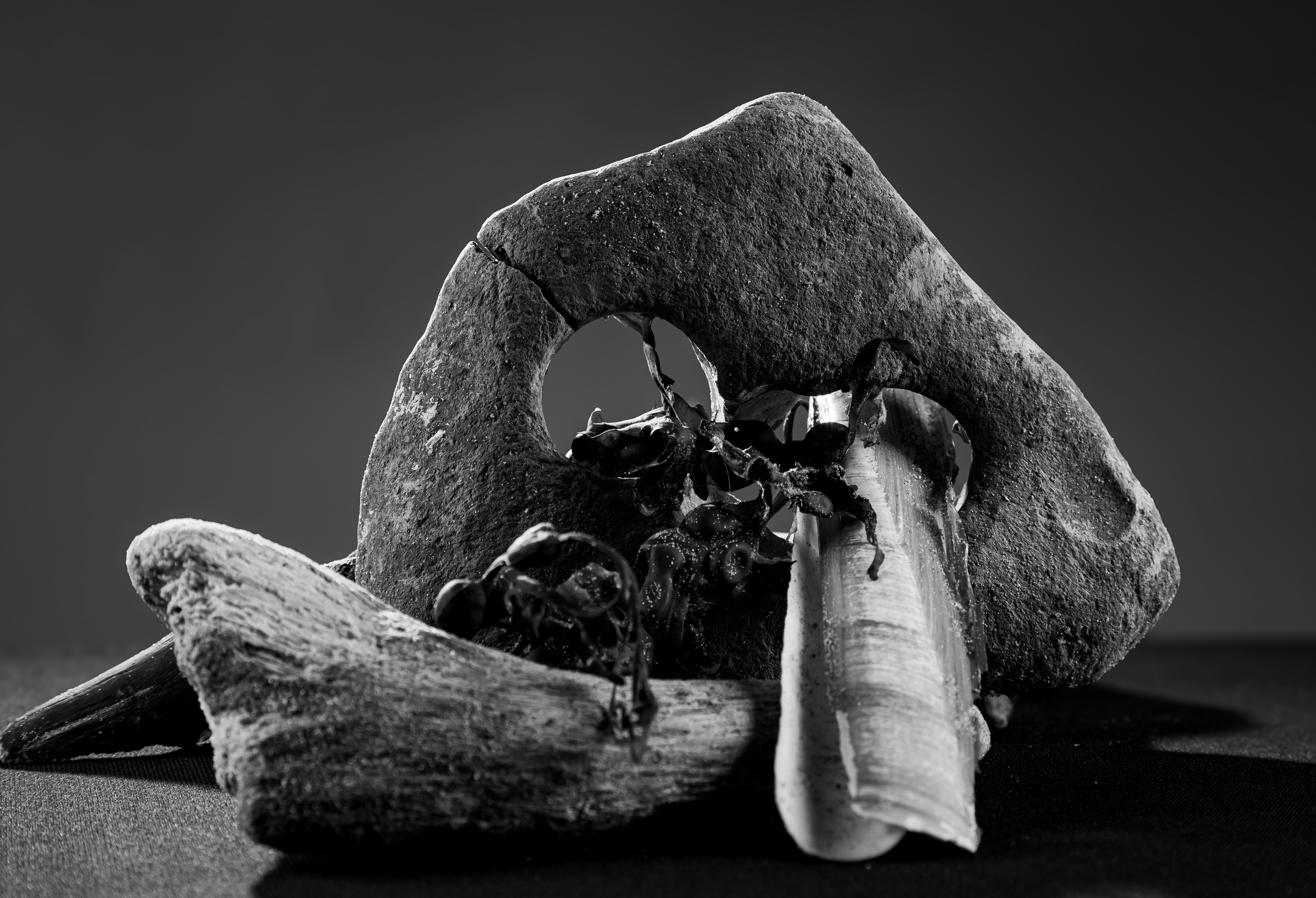 Photo by derekwojcik