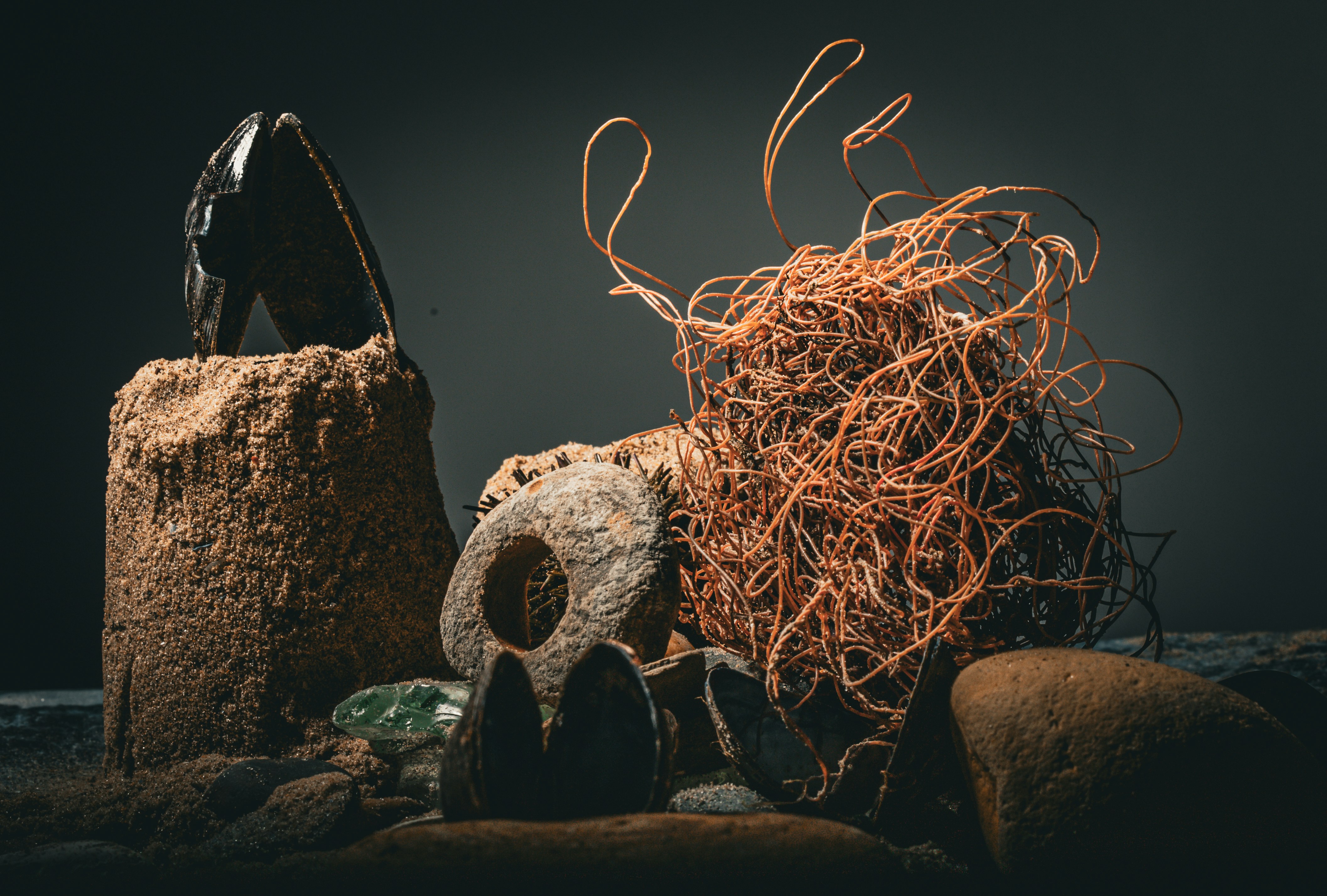 Arrangement de natures mortes d’objets naturels et de textures.