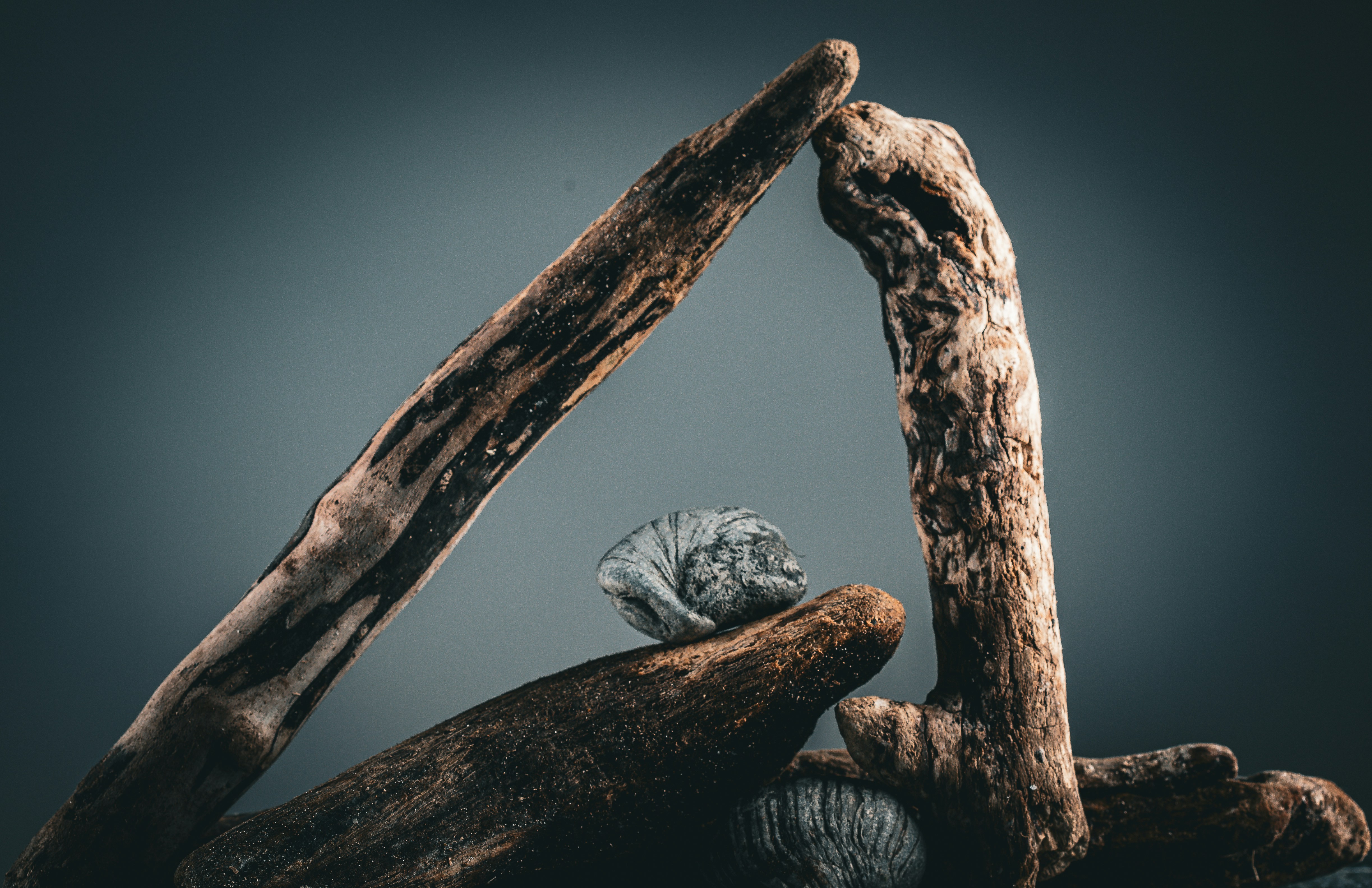 Photo by derekwojcik