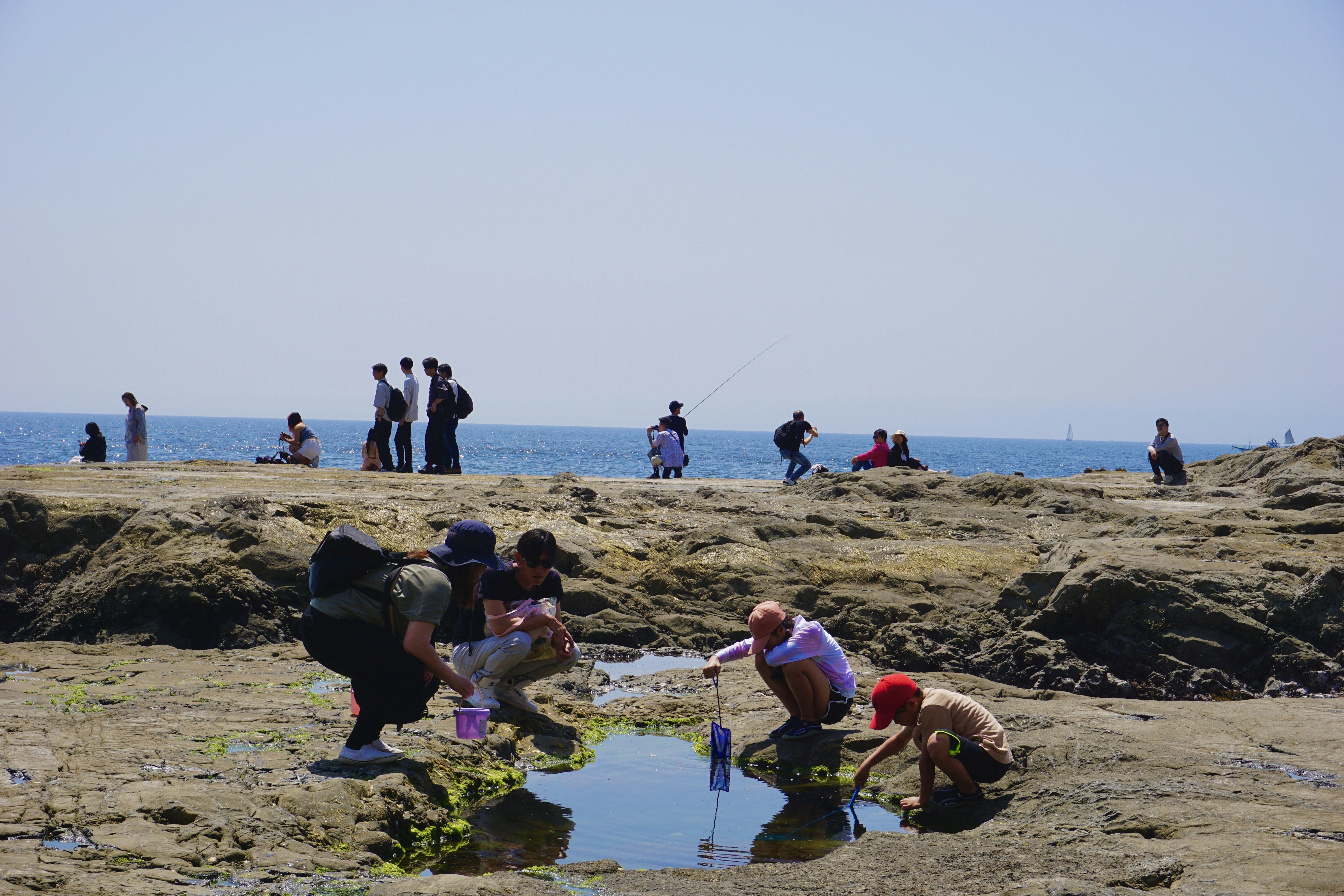 People explore tide pools on a rocky coastline.