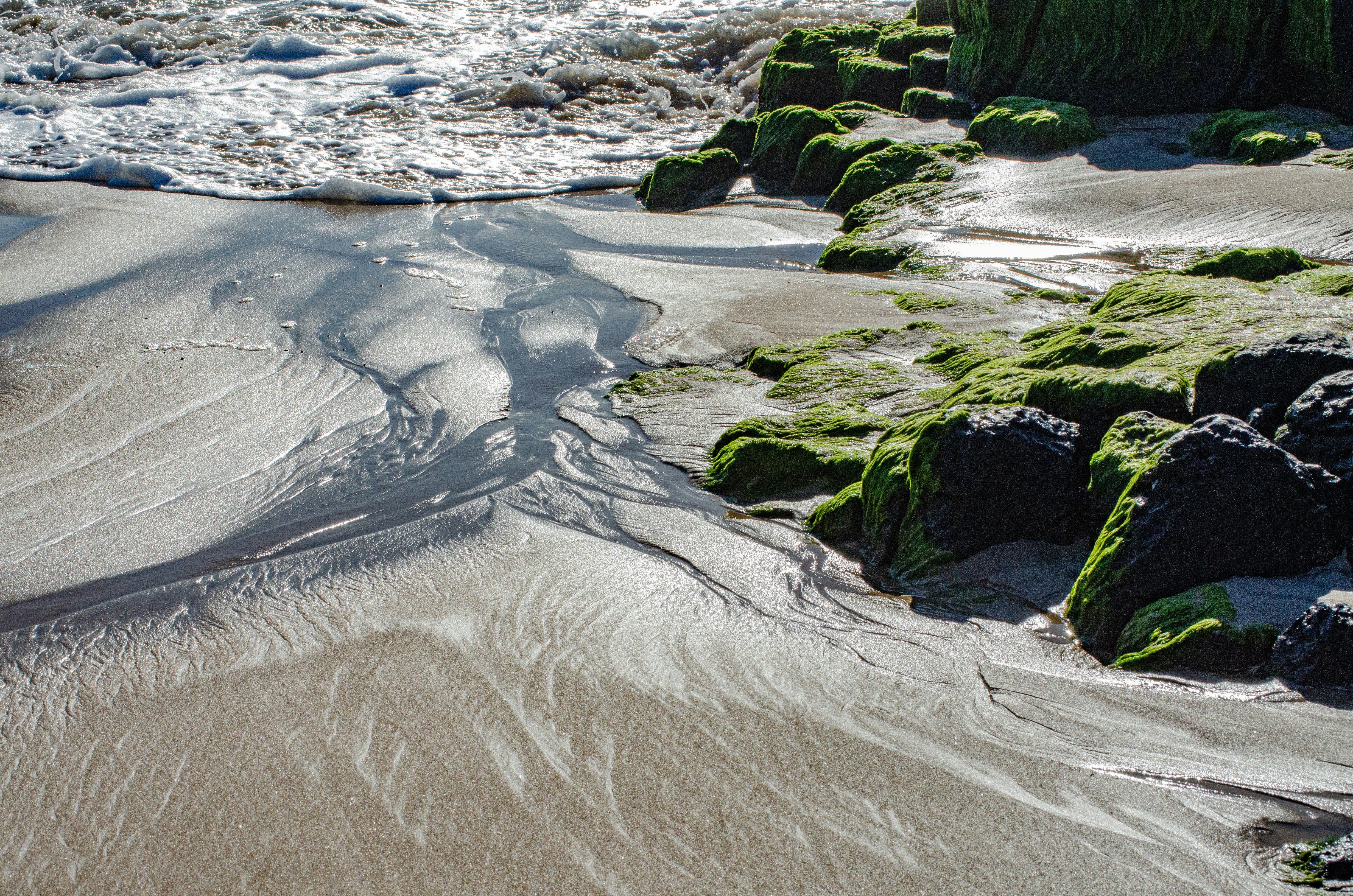 Wet sand with water patterns and mossy rocks