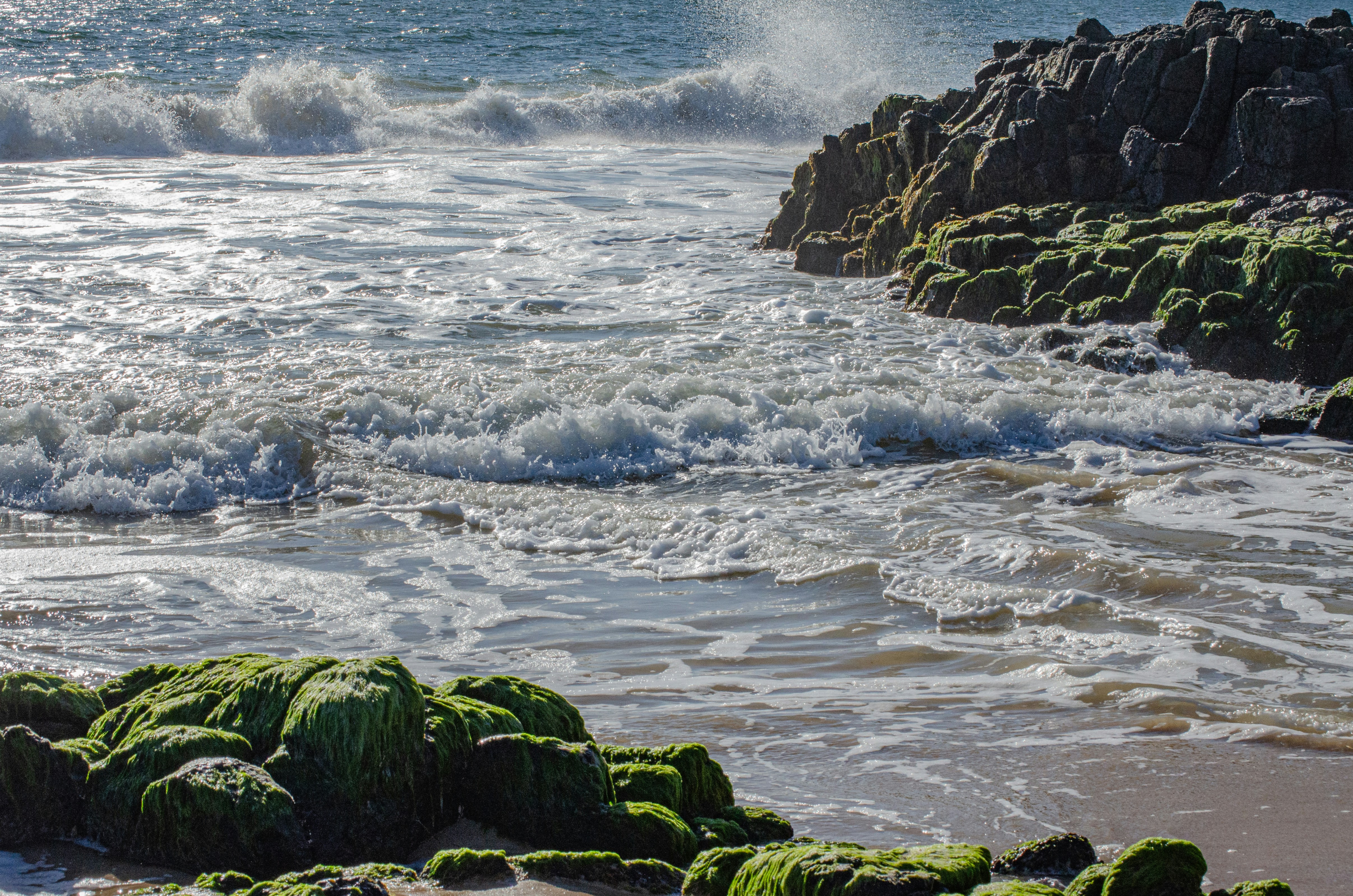 Waves crash against moss-covered rocks on the shore.