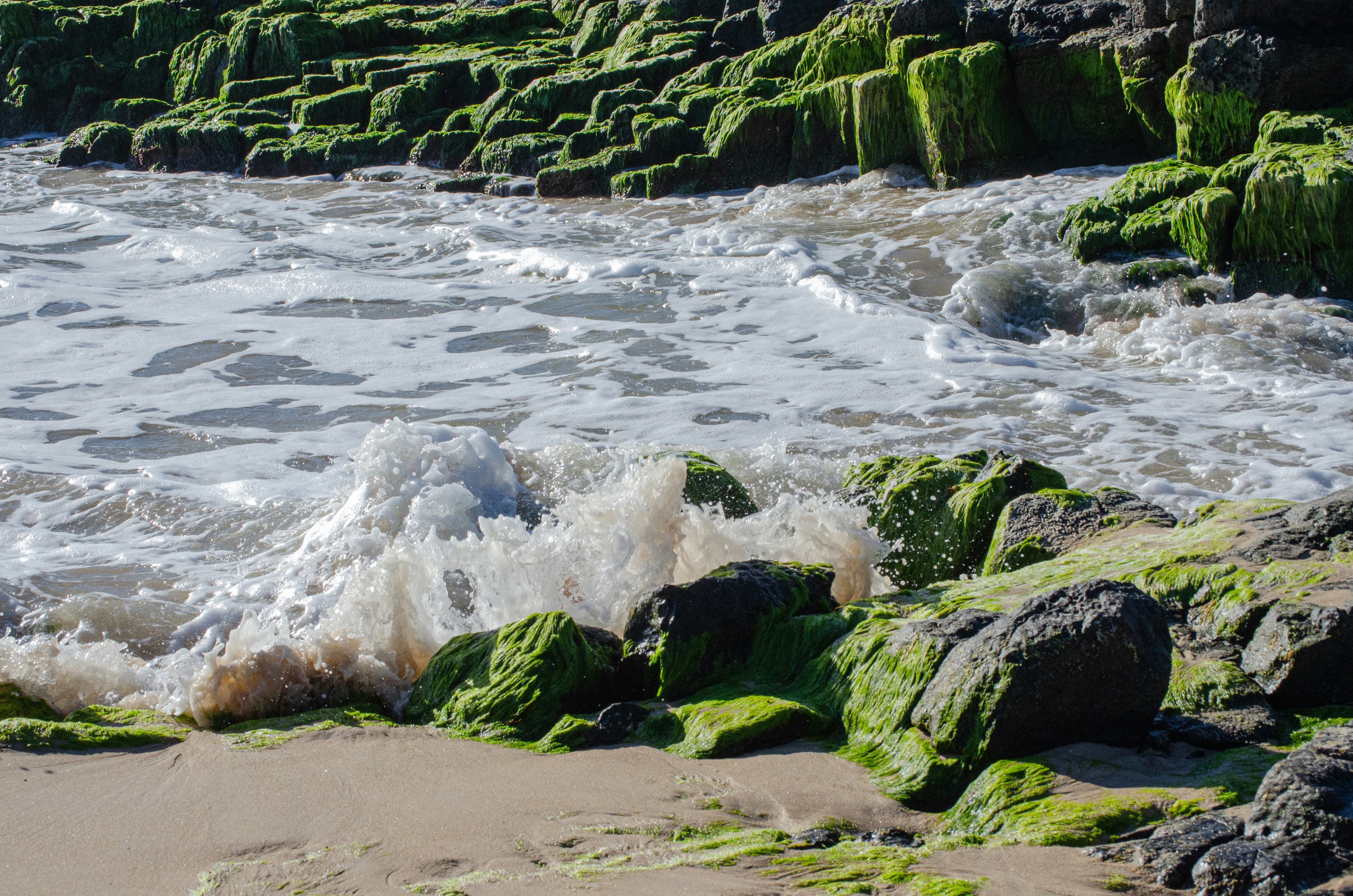 Waves crashing on mossy rocks by the shore.