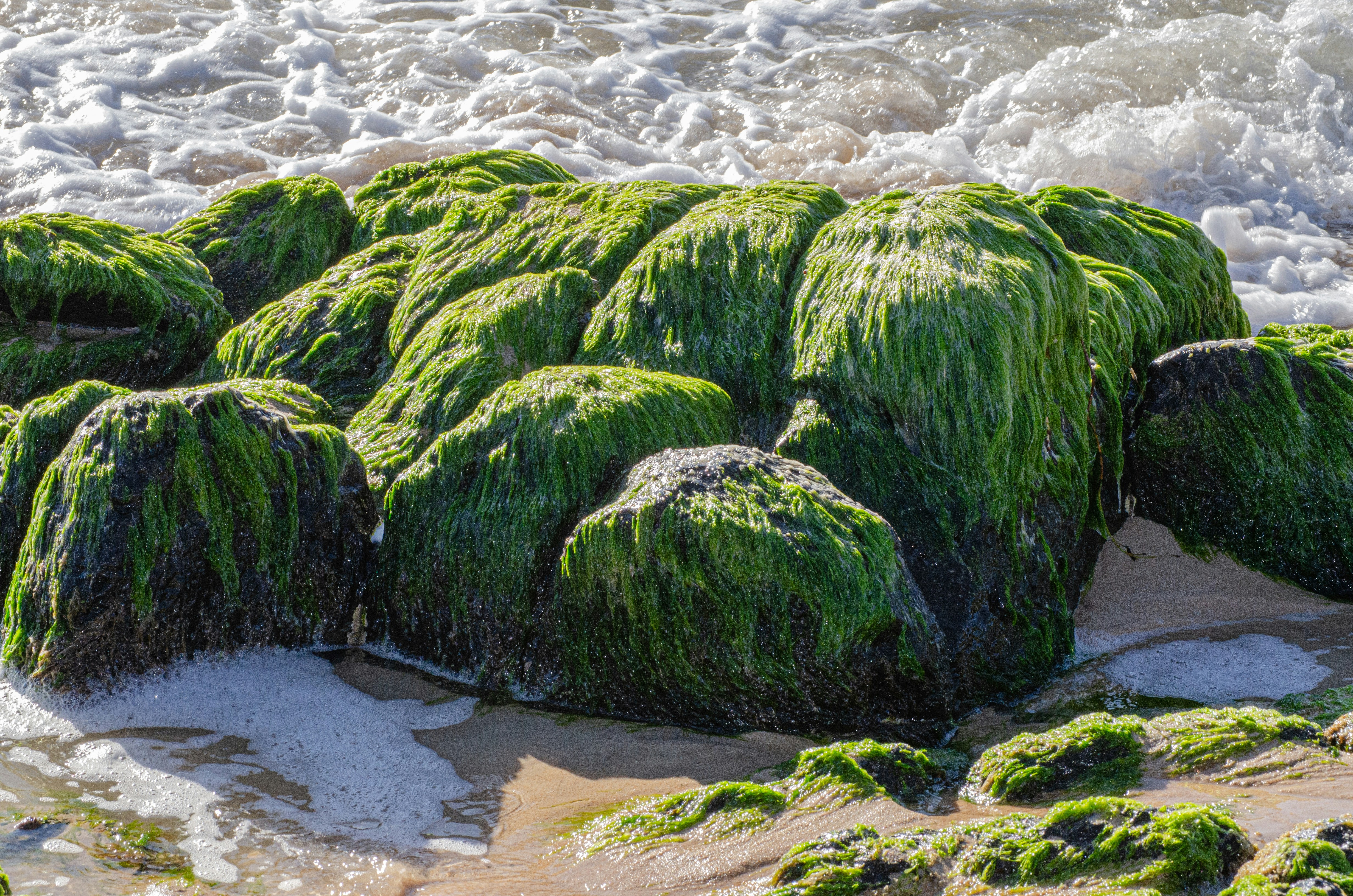 Moss-covered rocks on a sandy beach with waves.