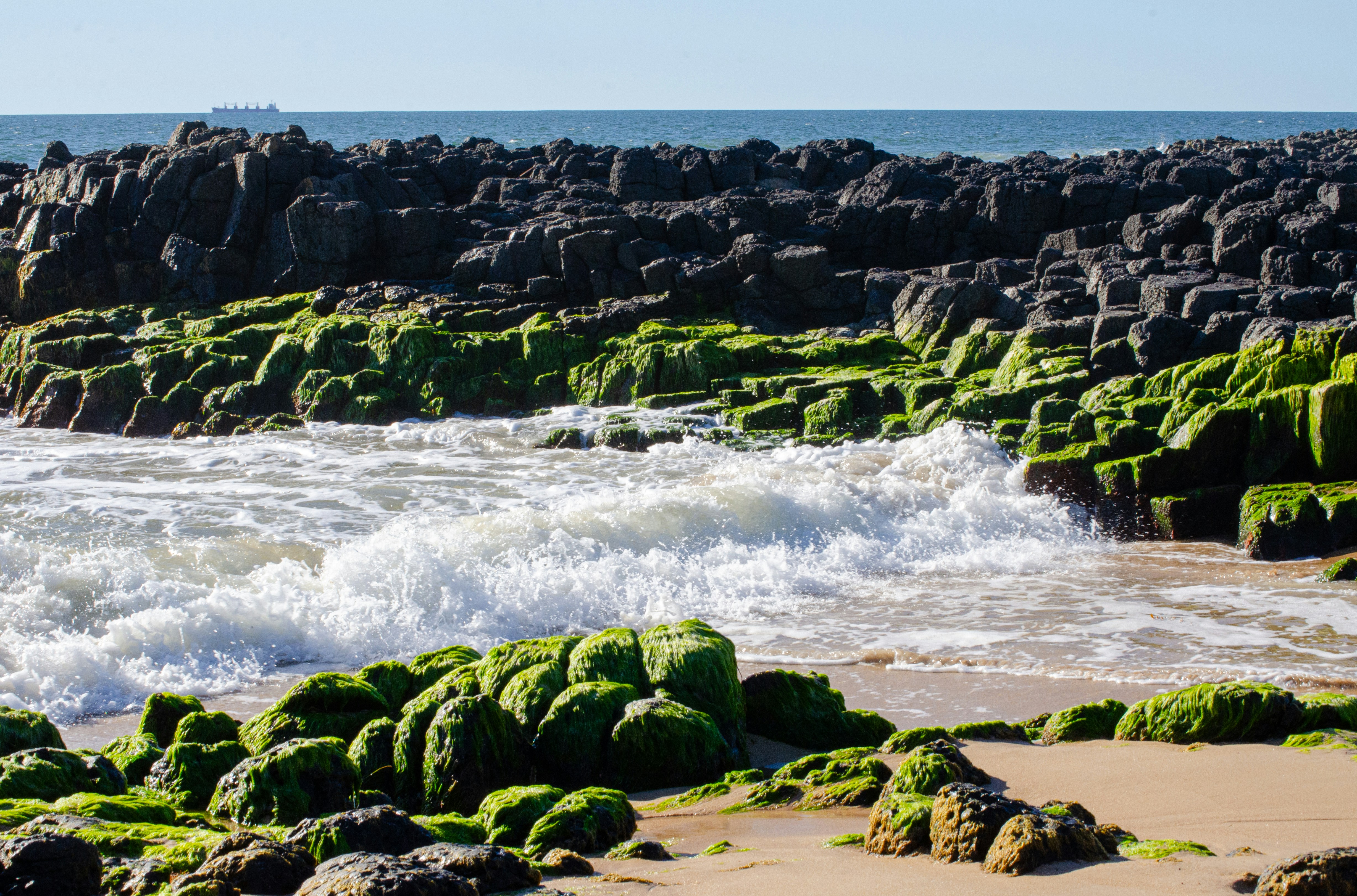 Waves crashing on moss-covered rocks by the ocean