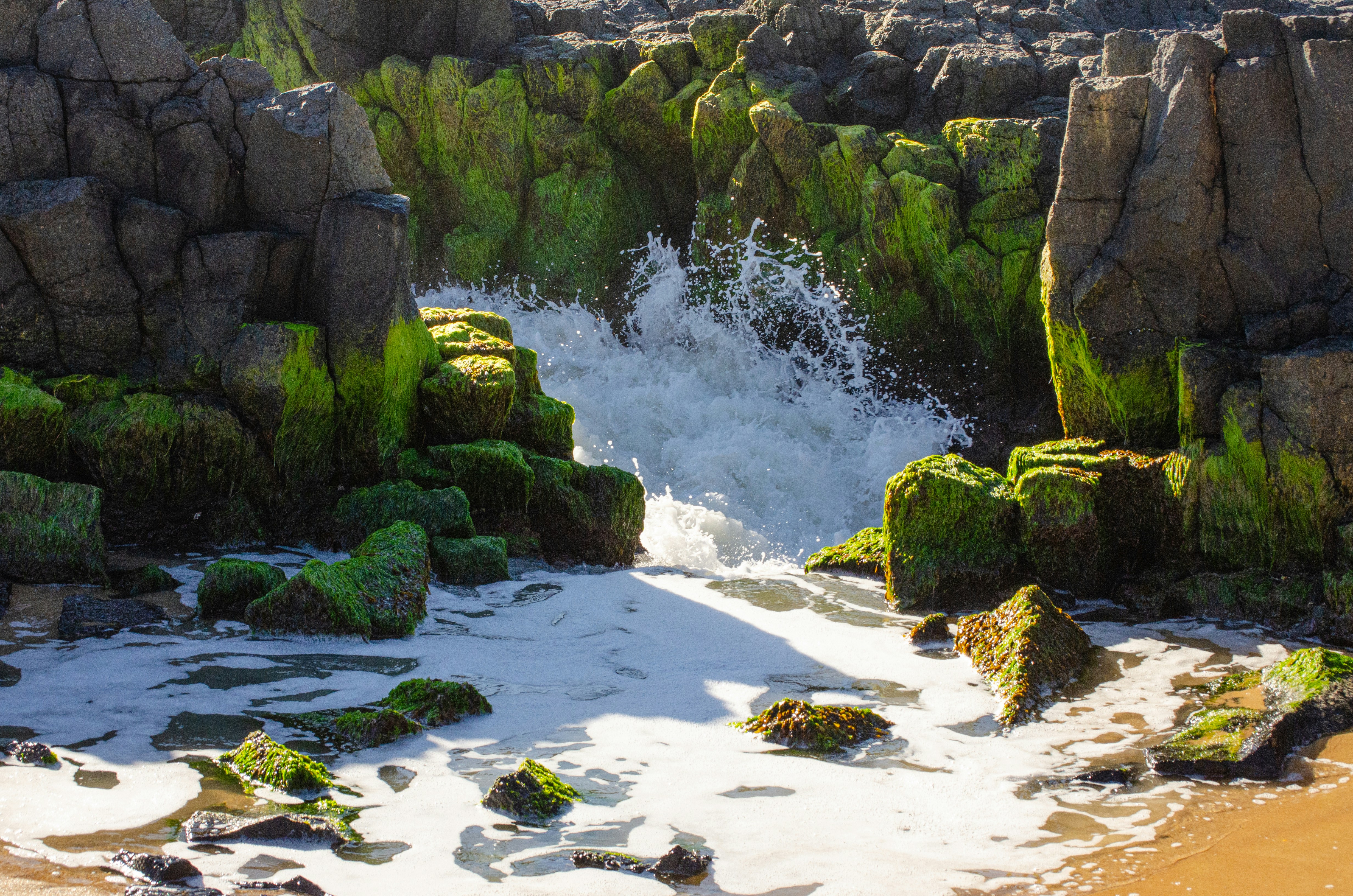 Waves crashing against mossy rocks on a beach.