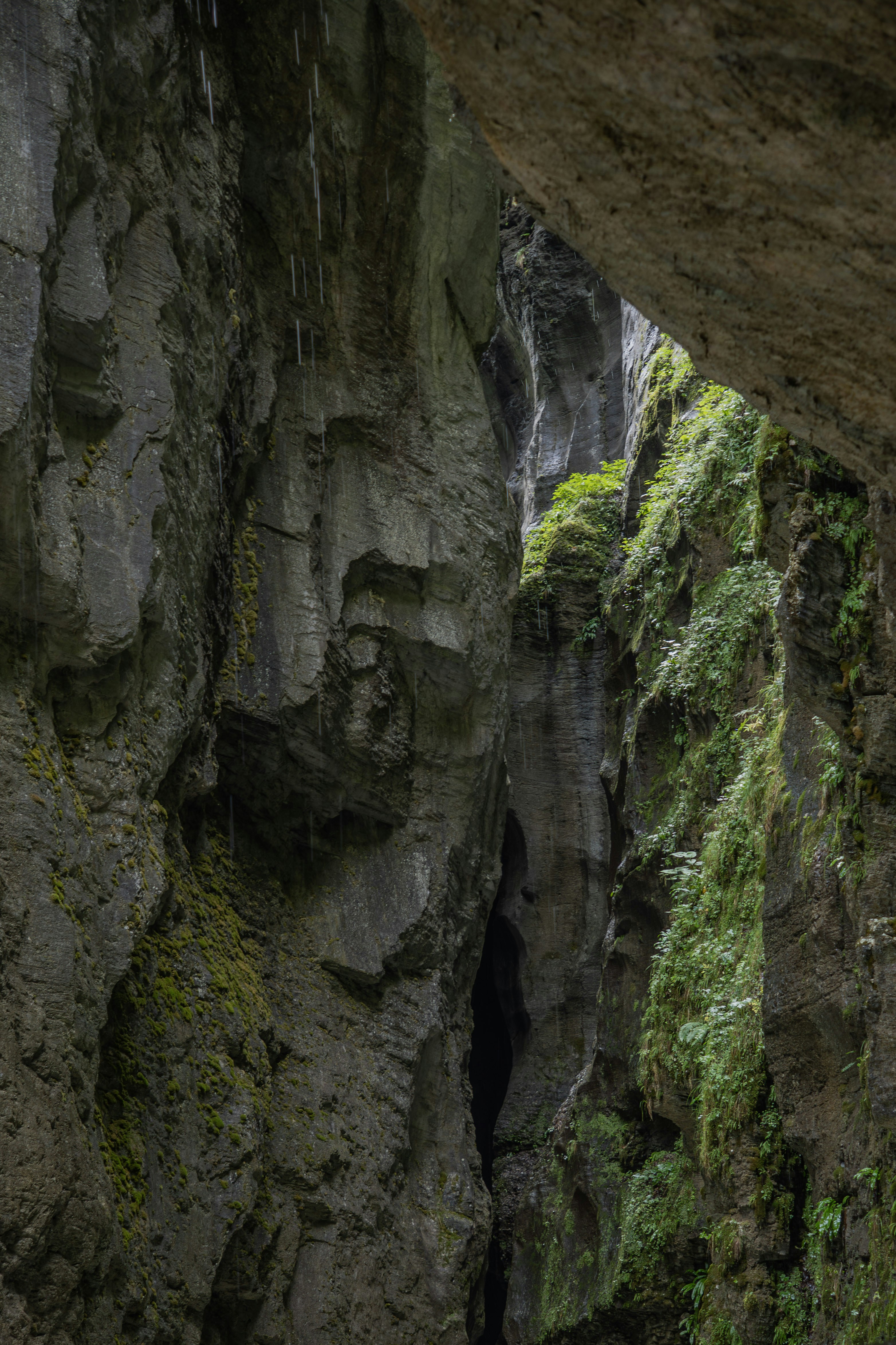 Photo by shotbythivi