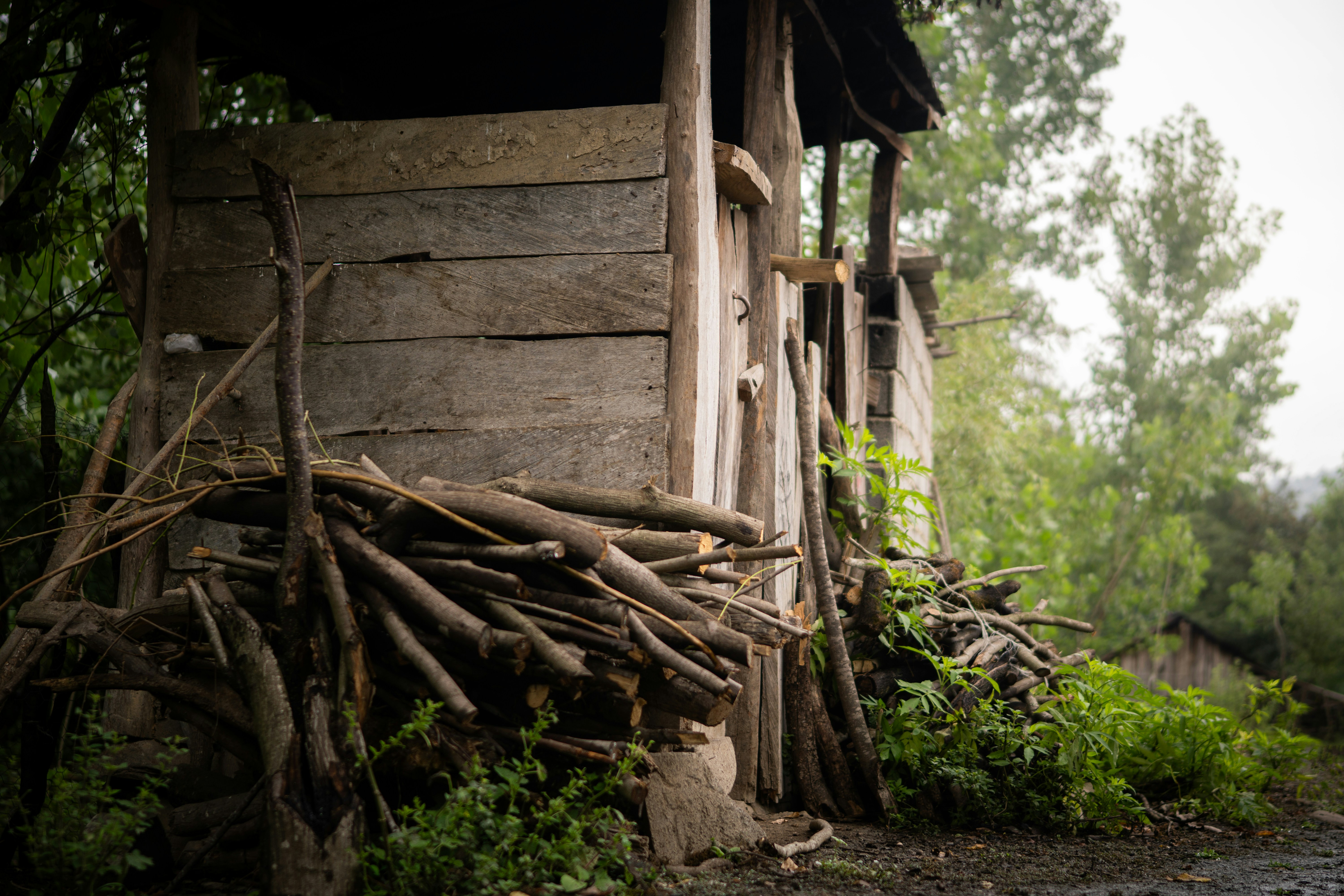 Photo by thisismasud