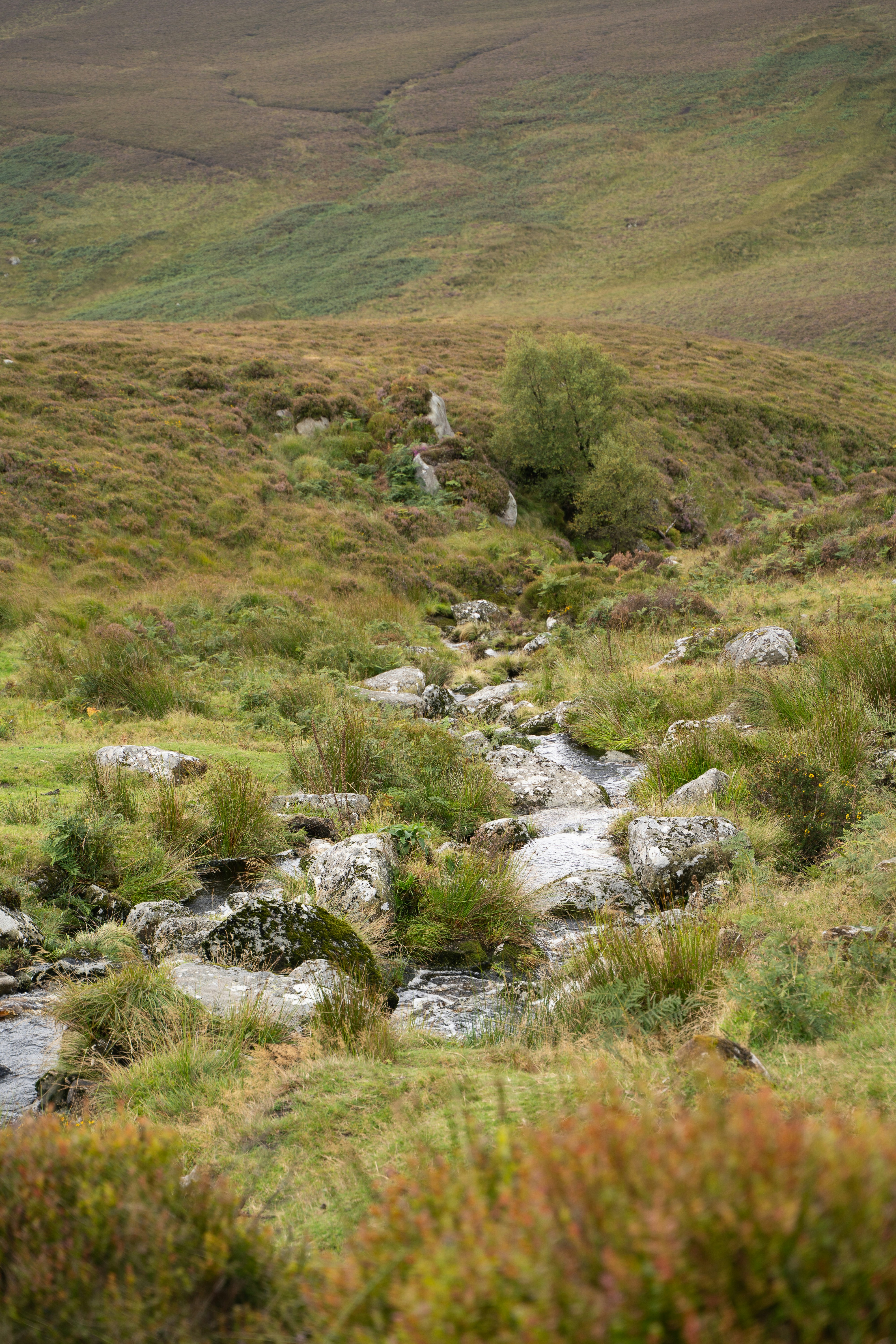 Photo by franceeesca_f