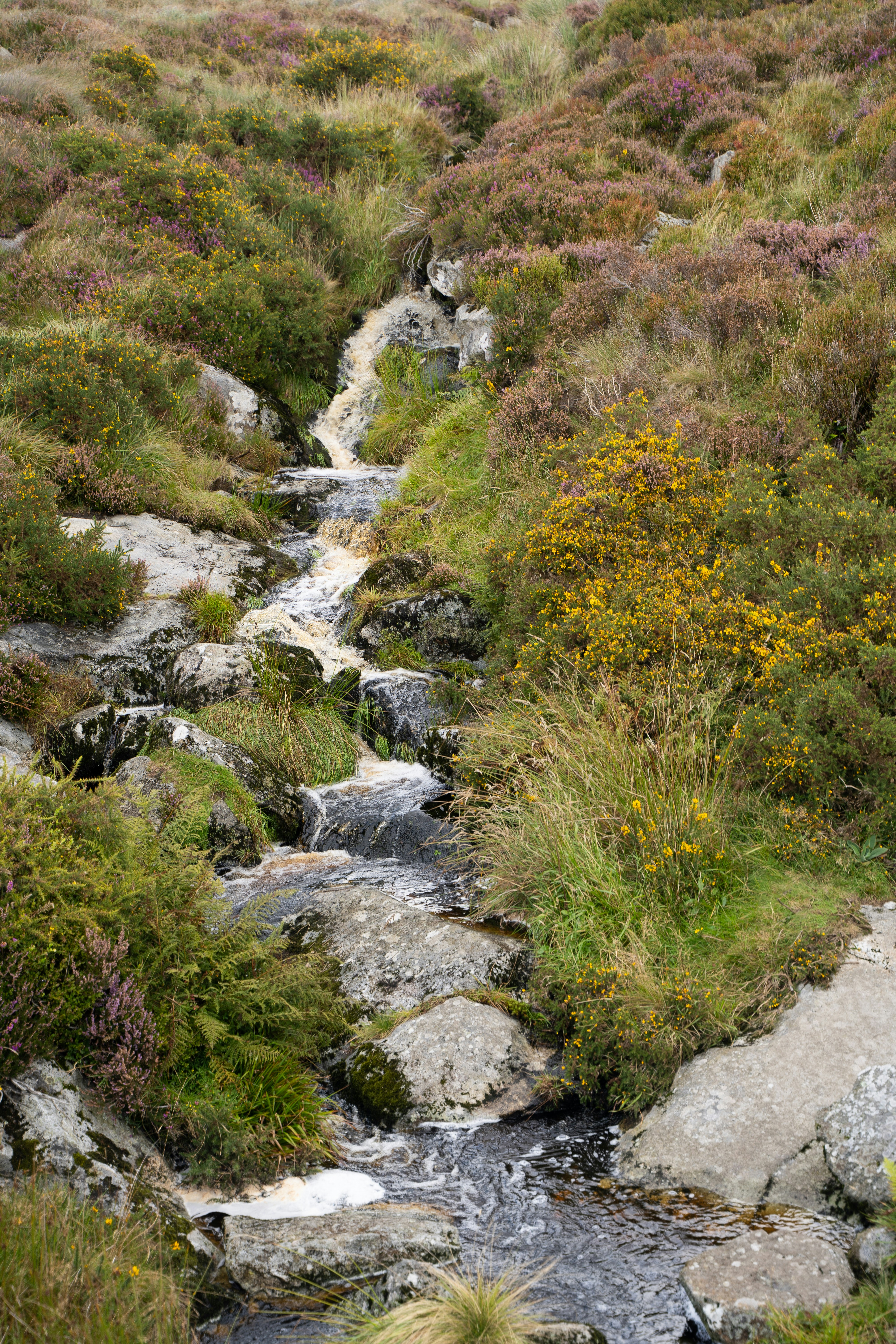 Photo by franceeesca_f