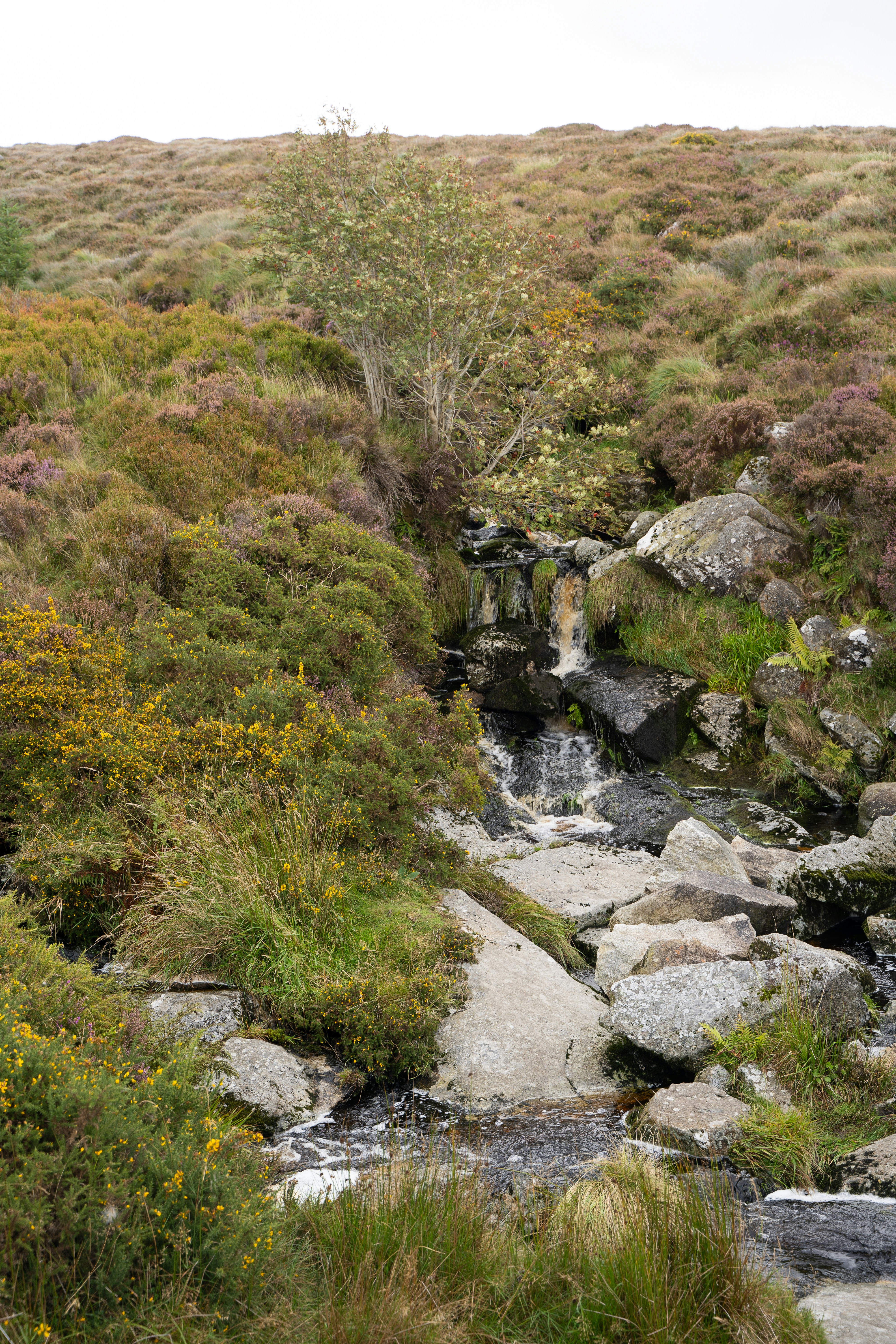 Photo by franceeesca_f