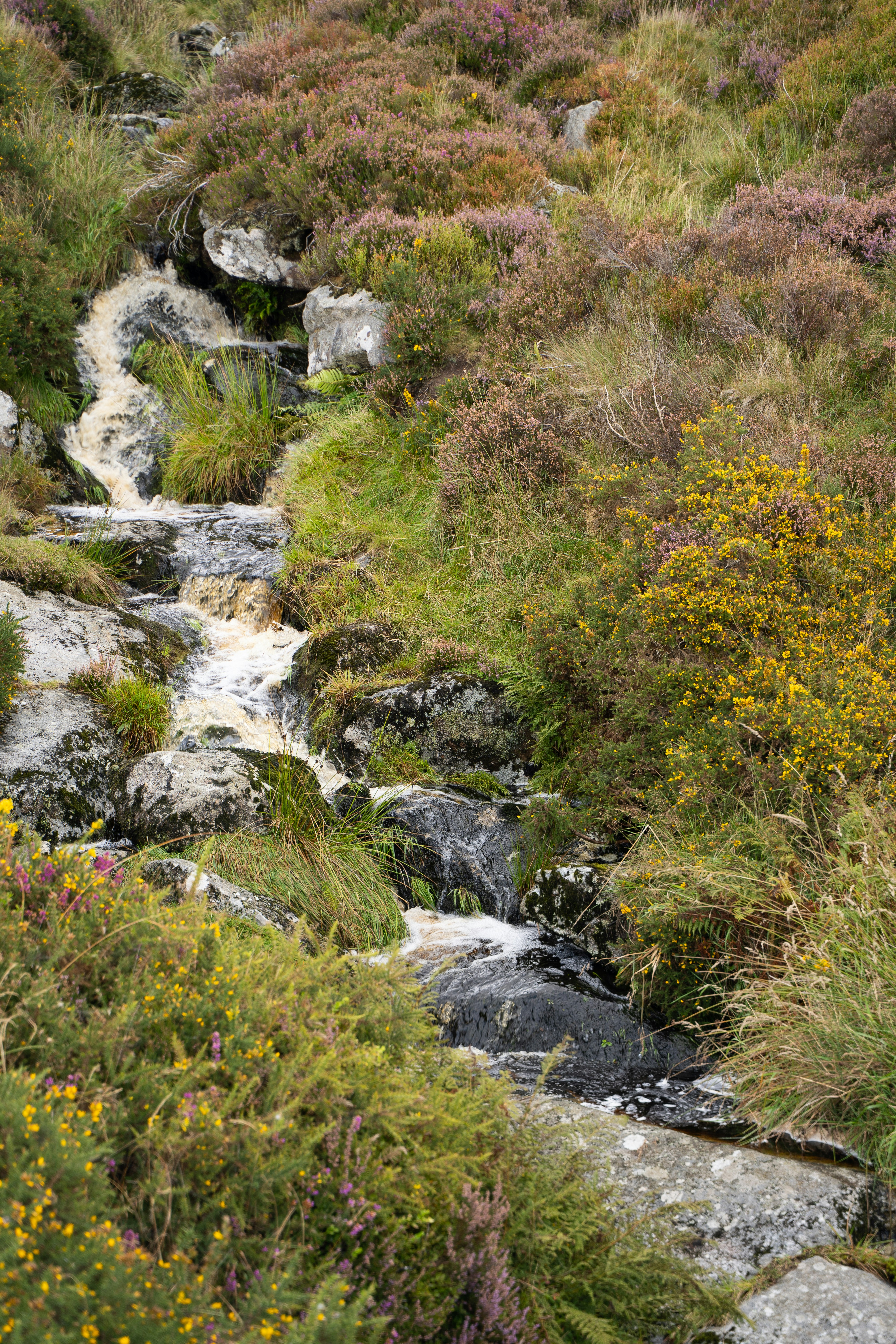 Photo by franceeesca_f