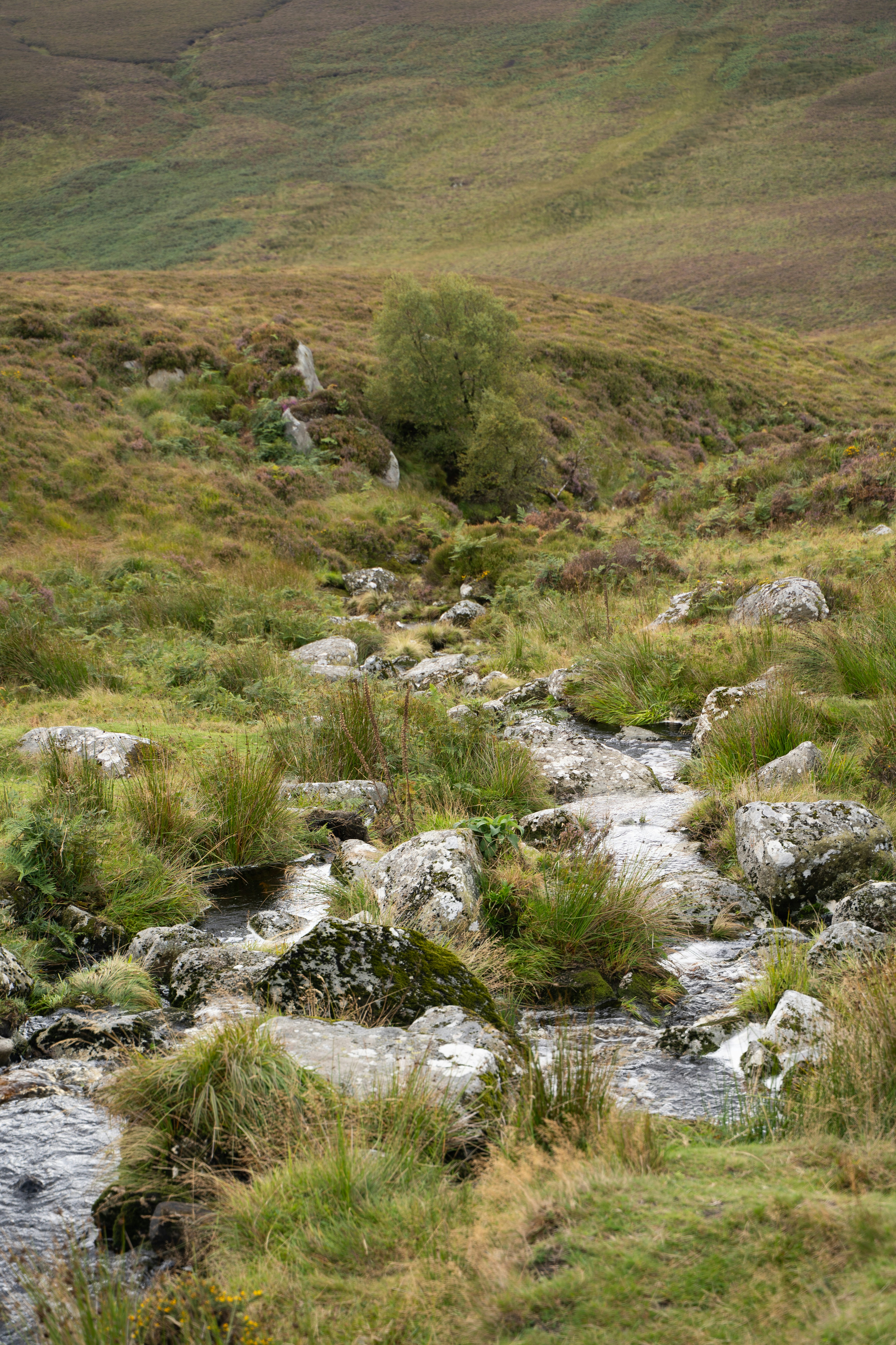 Photo by franceeesca_f